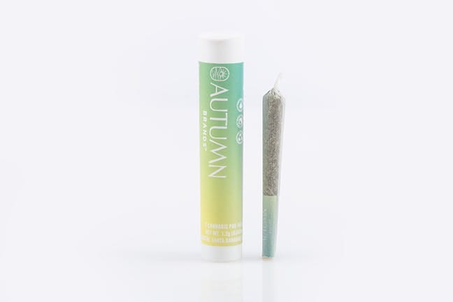 Preroll 2pk Sativa Pungent Purple - Autumn Brands -  - $9.99 - Preroll