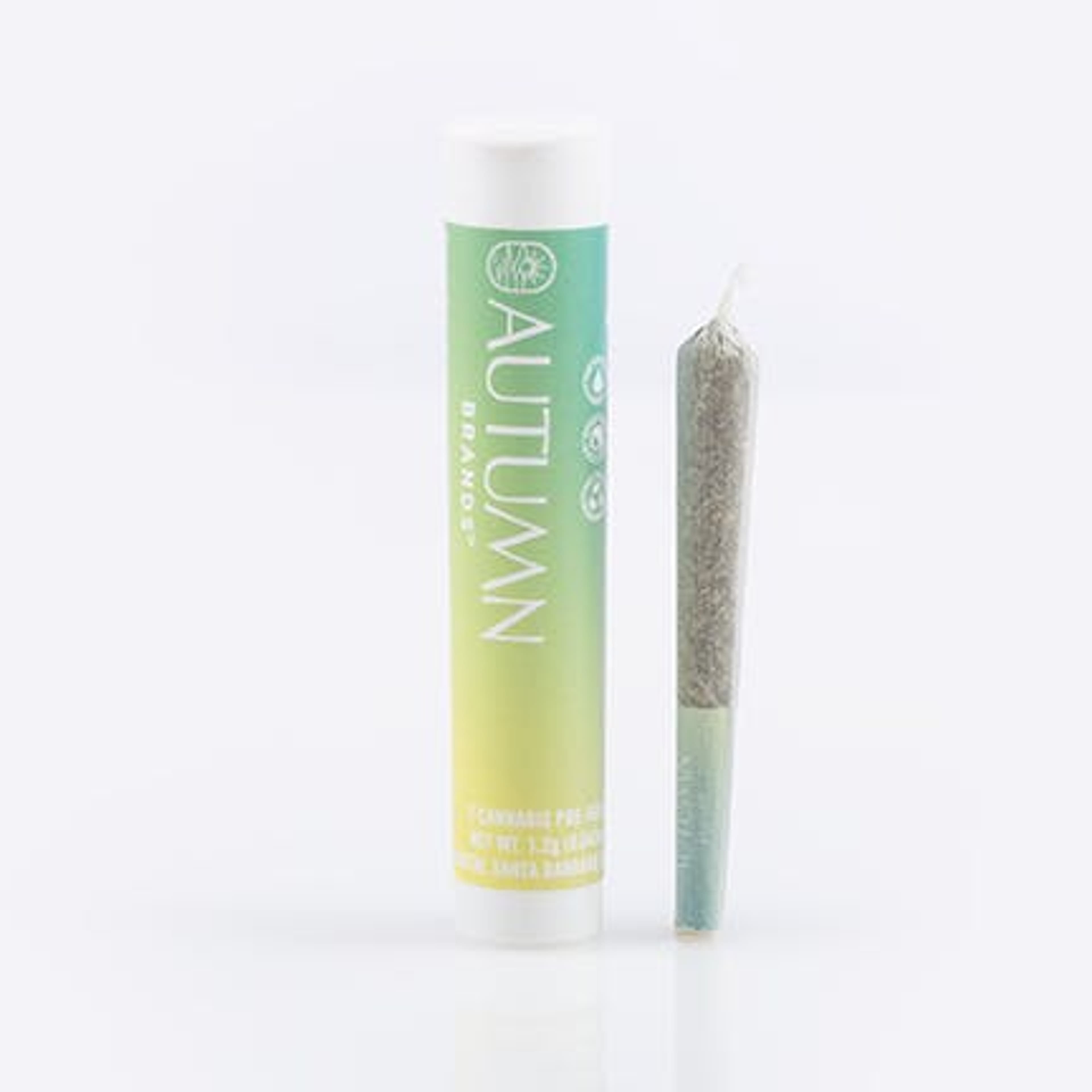 Preroll 2pk Sativa Pungent Purple - Autumn Brands - - $9.99 - Preroll
