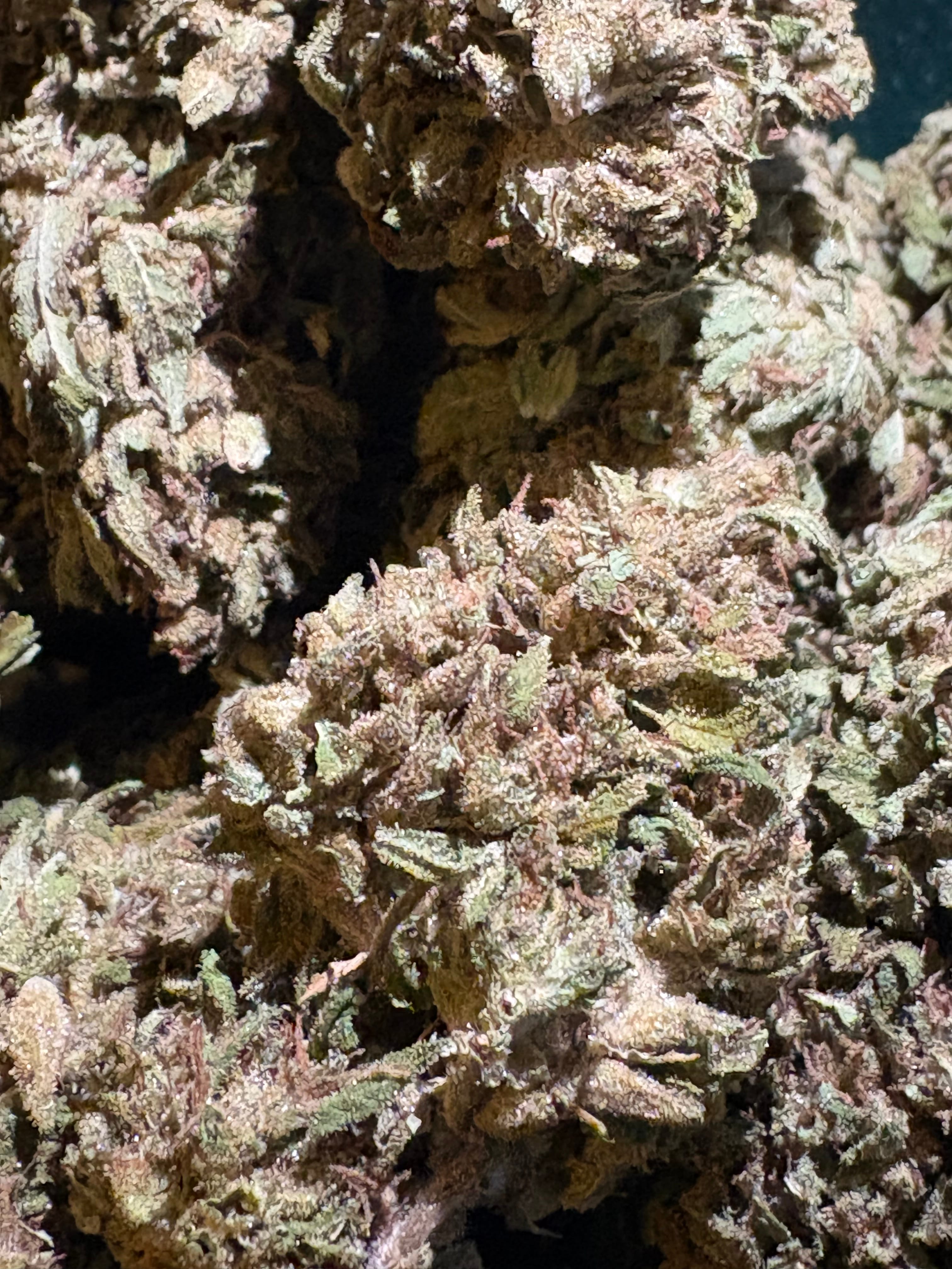 $40 Gorilla Glue 1oz. 30% THC (Mid-Grade) - Sum Good -  - $40 - Flowers