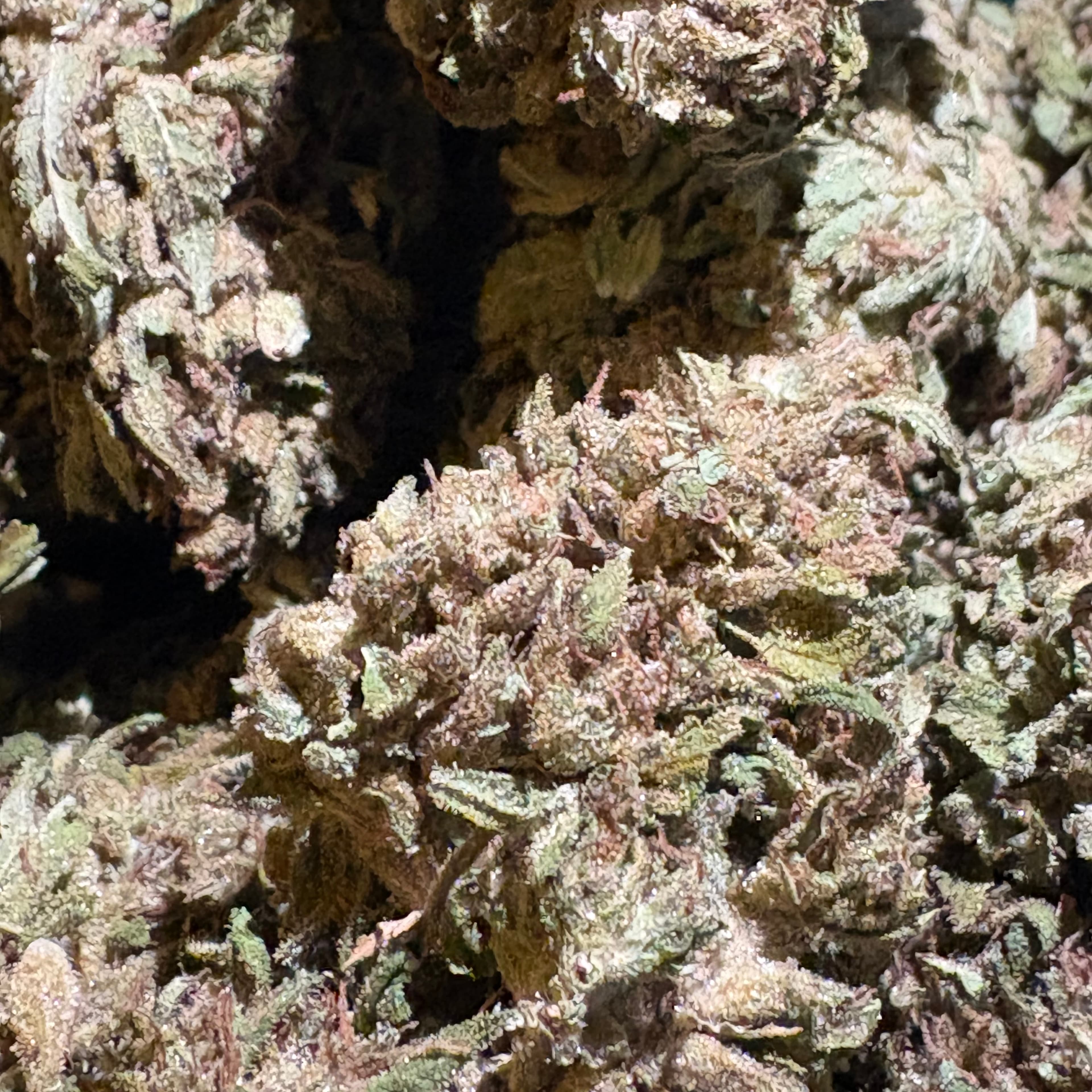 $40 Gorilla Glue 1oz. 30% THC (Mid-Grade) - Sum Good - - $40 - Flowers