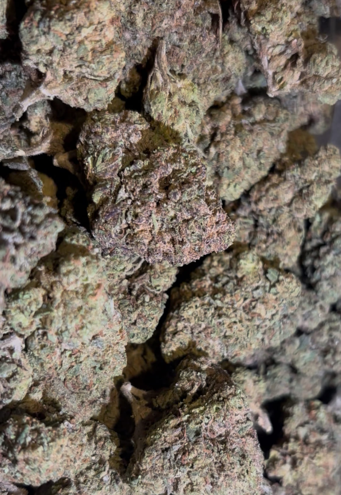 Candy Gas- OZ (28.5g) $104