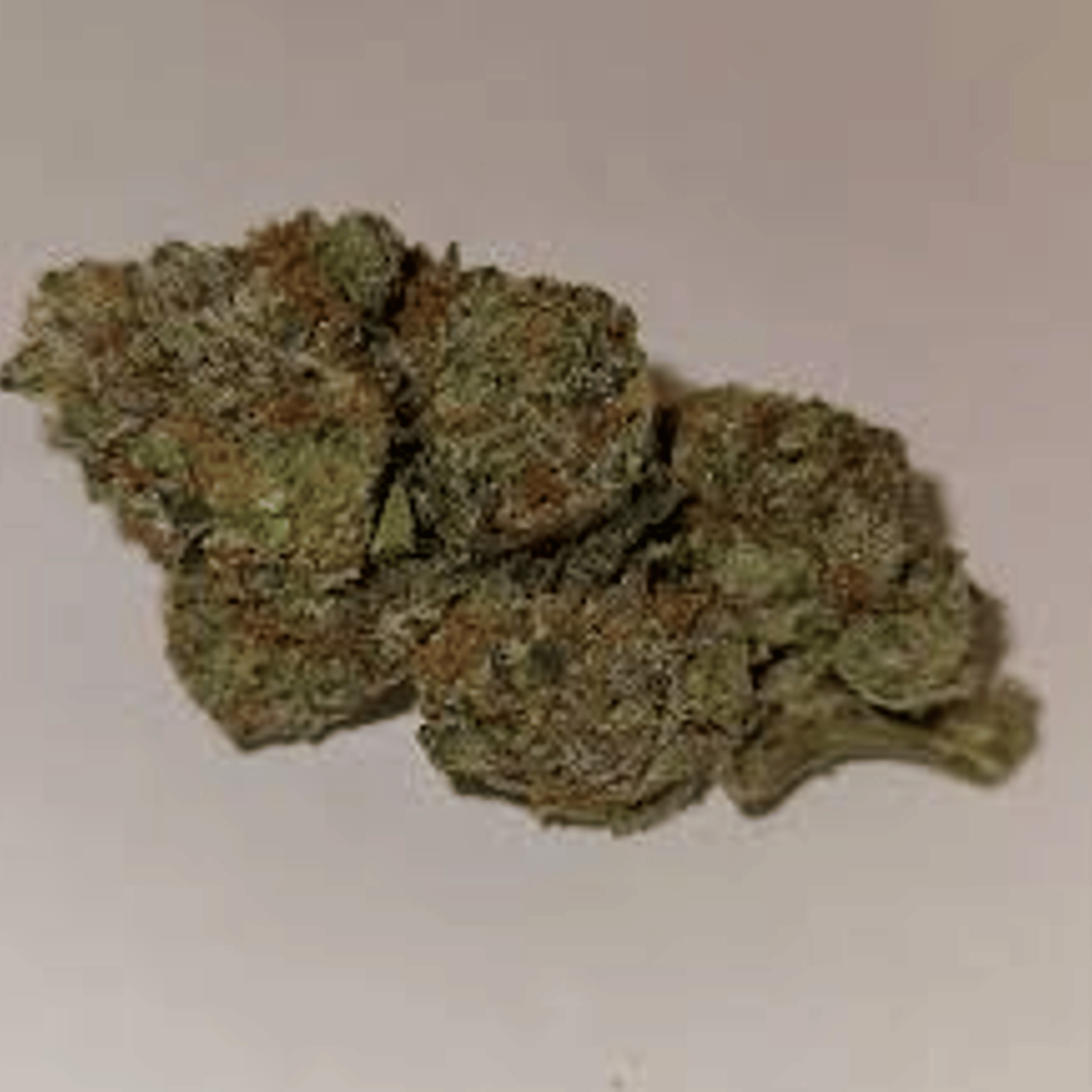 ALPACA CLUB - Rainbow Runtz (H) - 28g Smalls - Alpaca Bowl 4 U - Bag - $99 - Flower