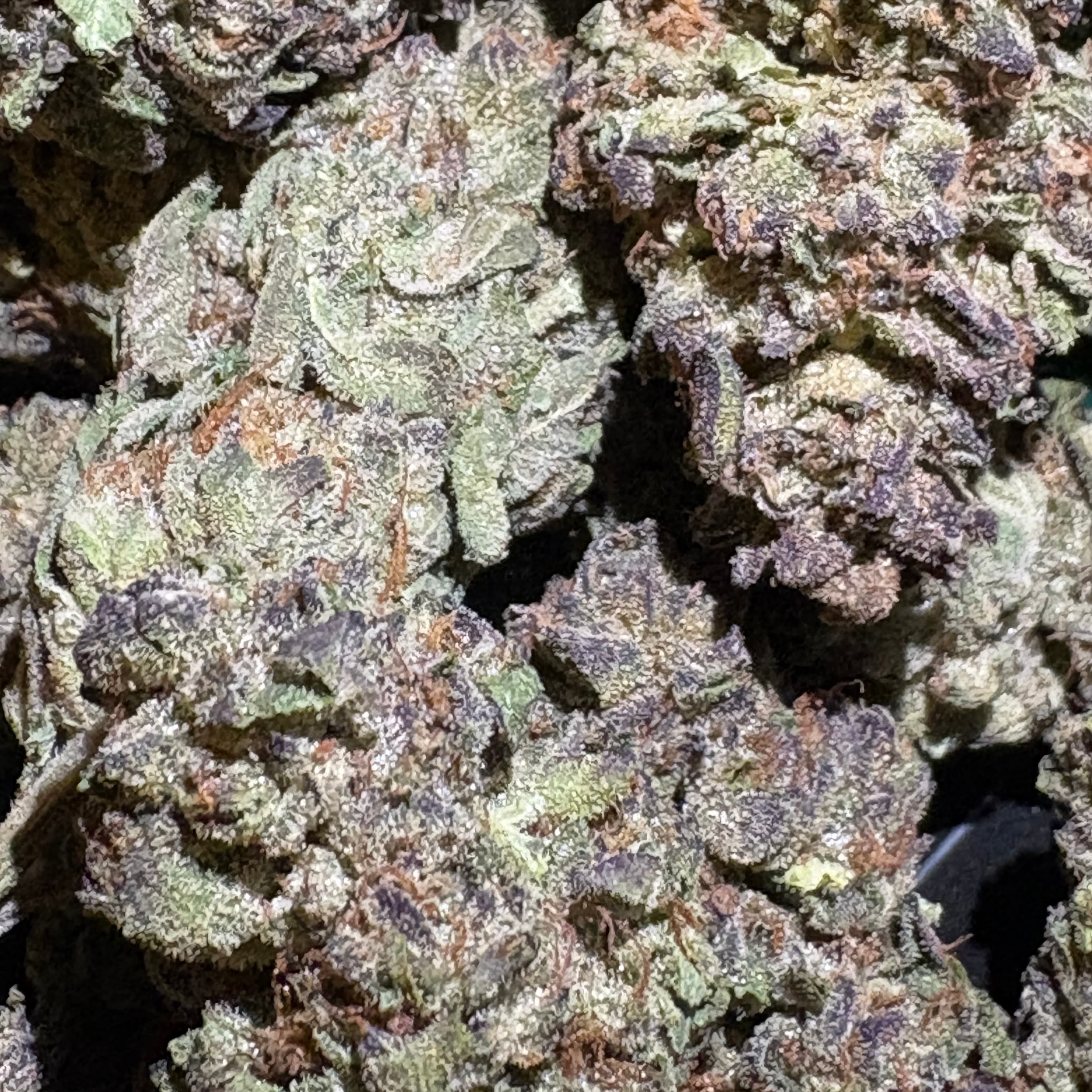 $10 Peanut Butter Breath - Flower - 8th - 31% THC (AAA-Grade) - Sum Good - - $10 - Flowers