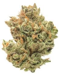 Super Lemon Haze 3.5g - De La Mota -  - $24.99 - Flower