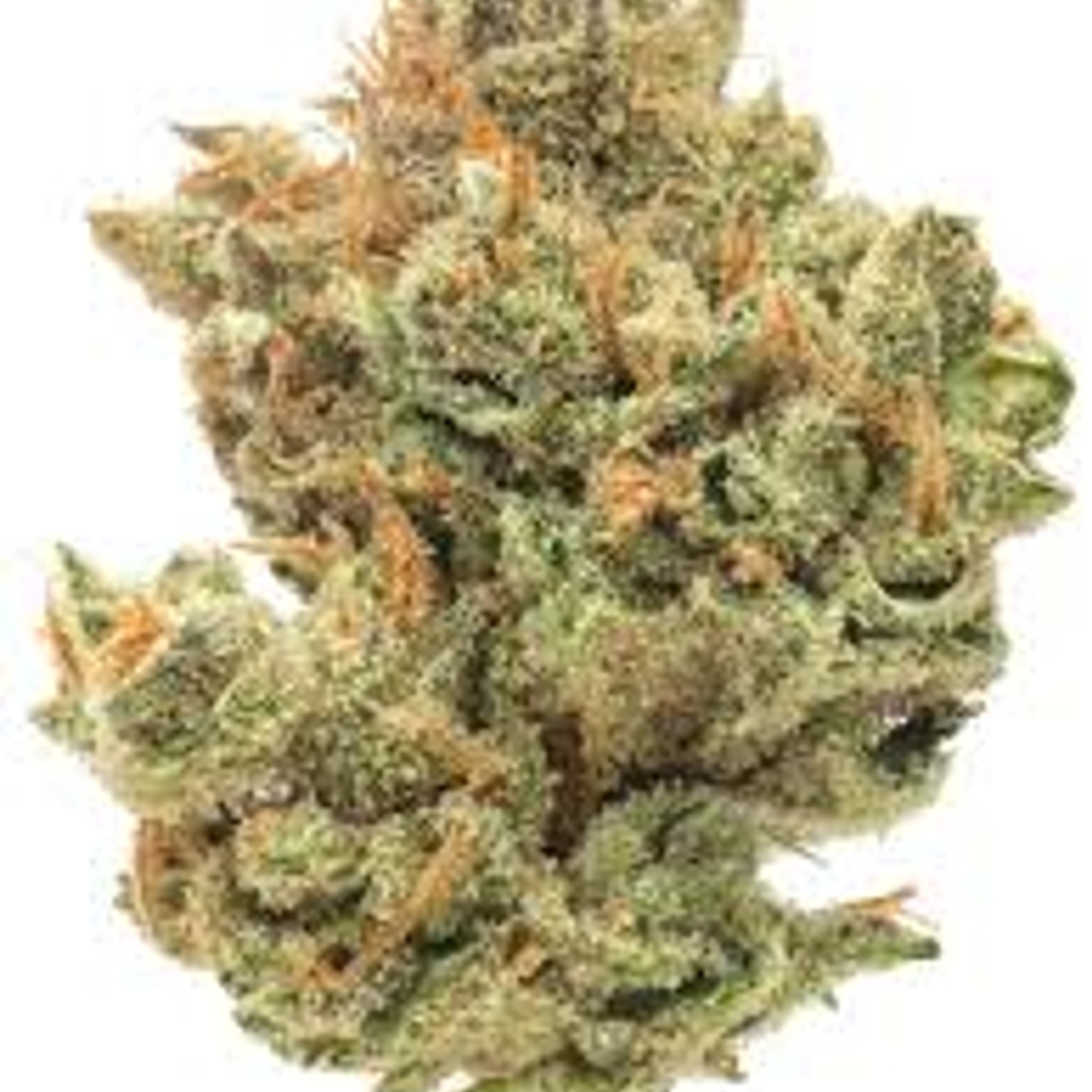 Super Lemon Haze 3.5g - De La Mota - - $24.99 - Flower