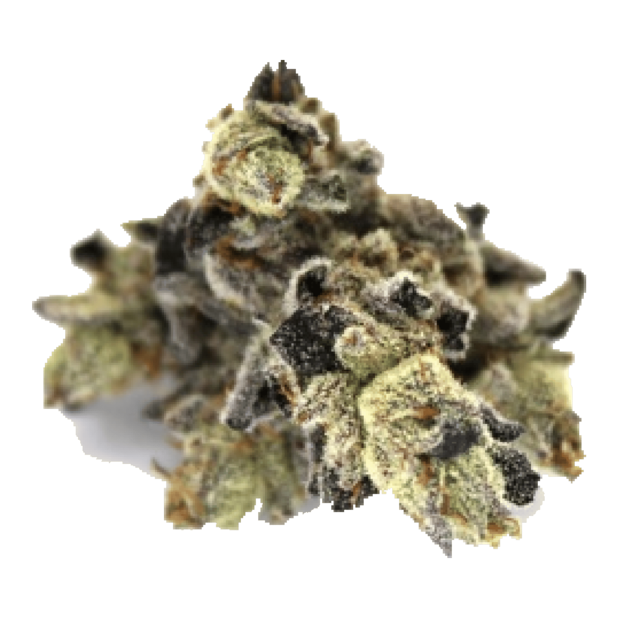 Chem Kardashian - Jar - Indoor Flower - Sense - Eighth - $49.99 - Flower