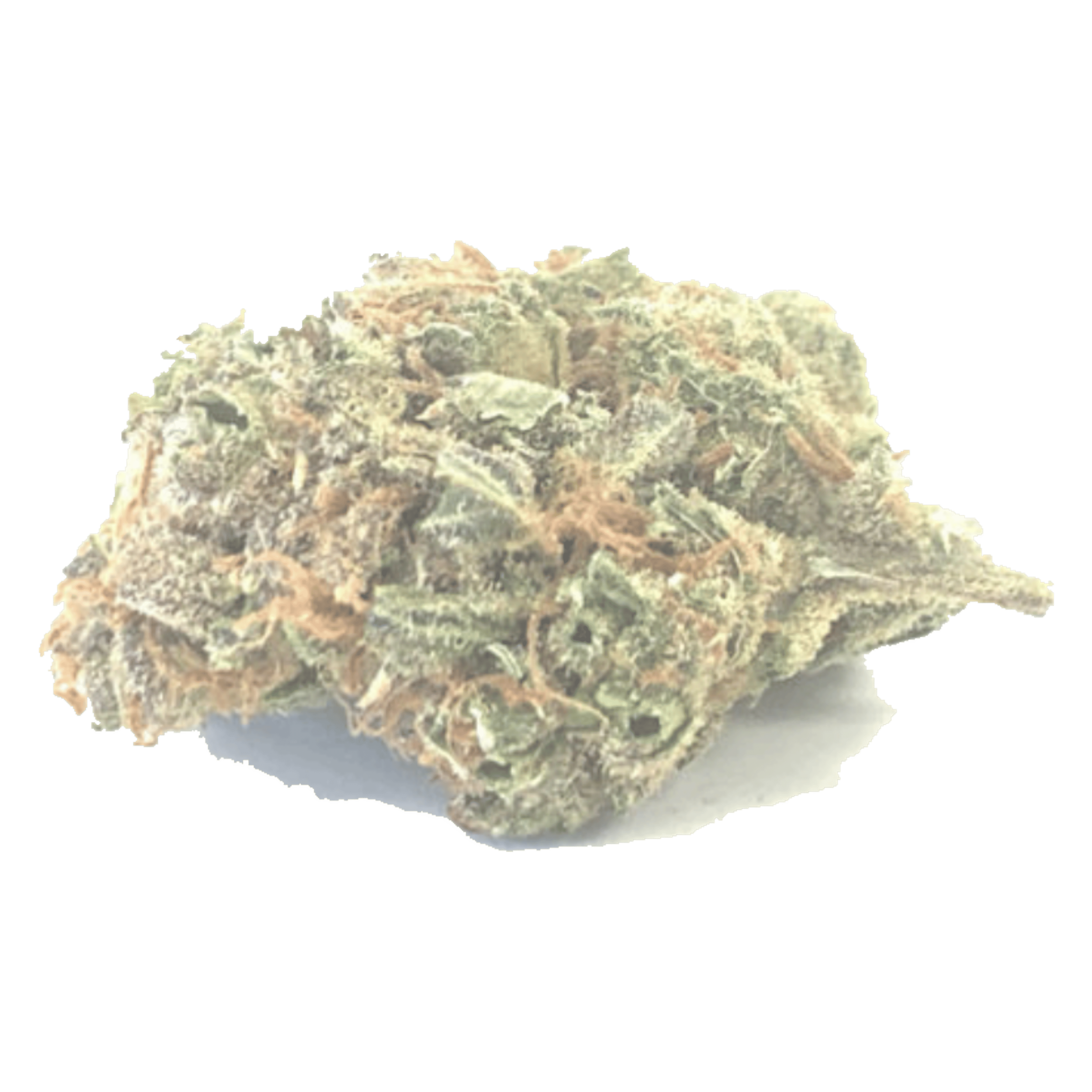 Super Silver Haze - Indoor Flower - ZombiXYZ - Eighth - $17.50 - 4mo+ Flower (Date in Description)