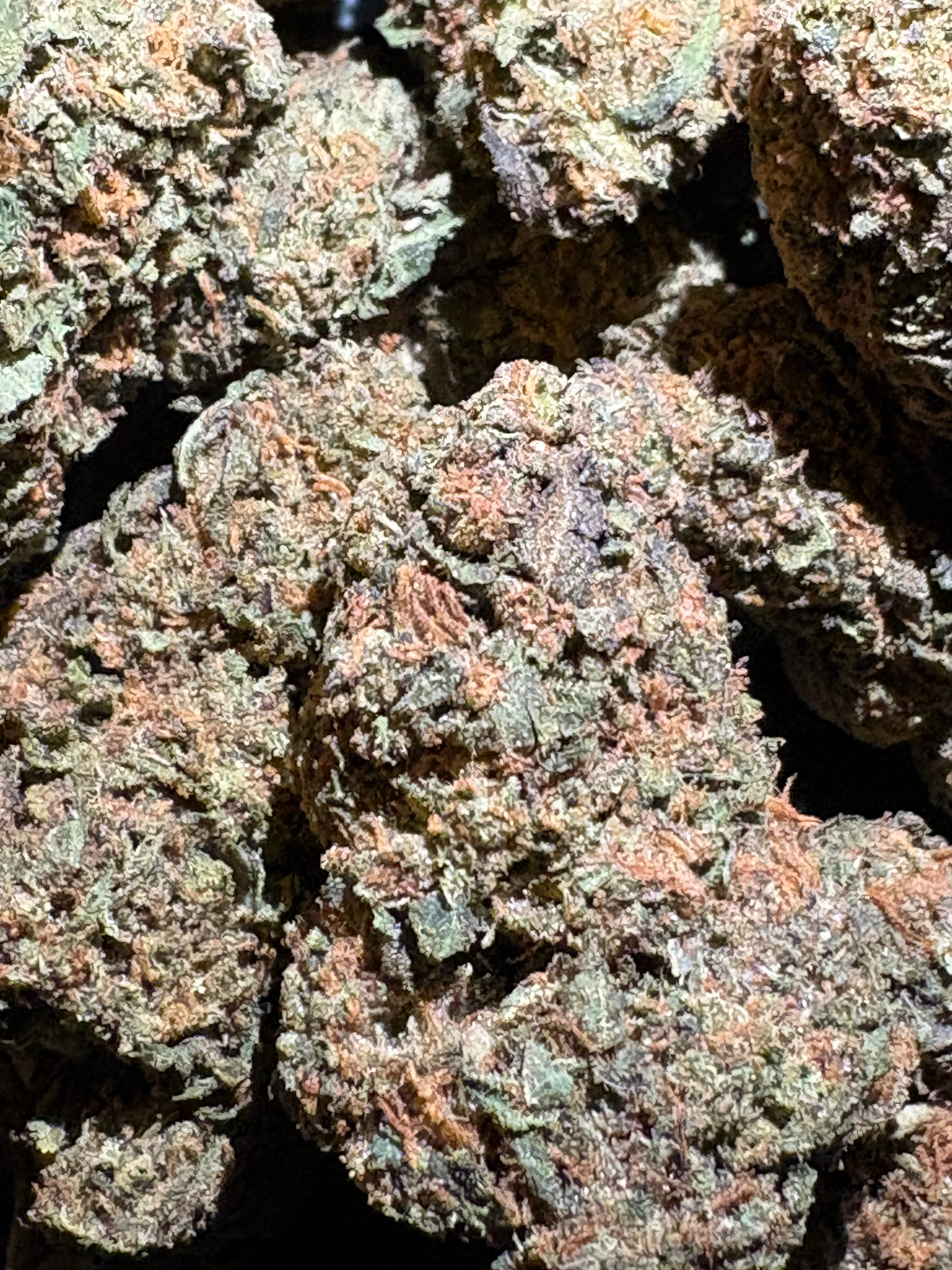 $10 Thizzlato - Flower - 8th - 32% THC (AAA-Grade) - Sum Good -  - $10 - Flowers
