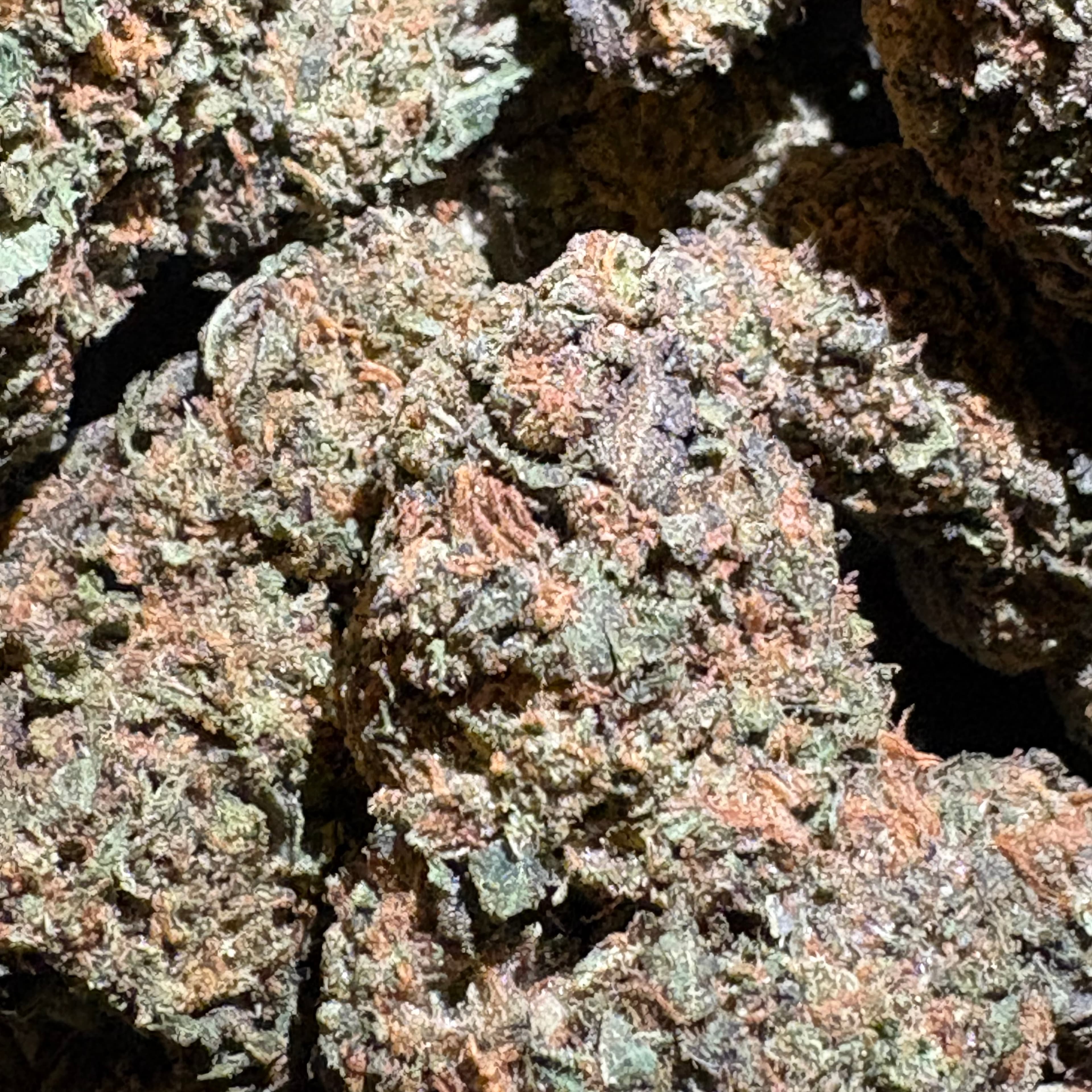$10 Thizzlato - Flower - 8th - 32% THC (AAA-Grade) - Sum Good - - $10 - Flowers