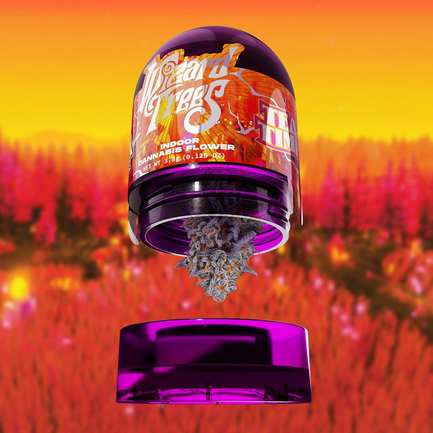 WIZARD TREES: Tea Party