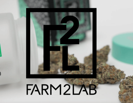 3.5g Grape Soda Flower