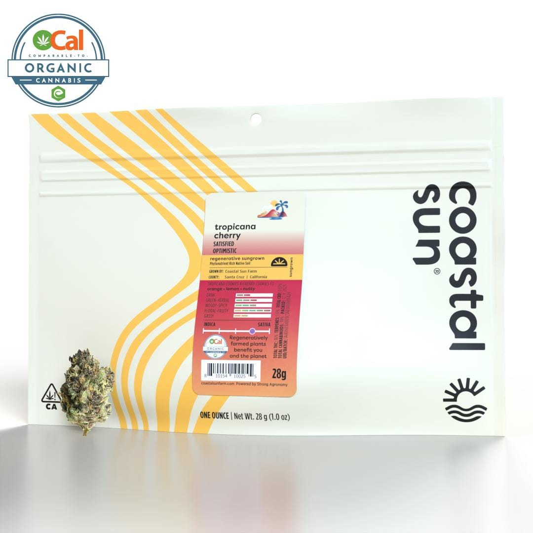 28G Tropicanna Cherry - Coastal Sun -  - $91 - Flowers