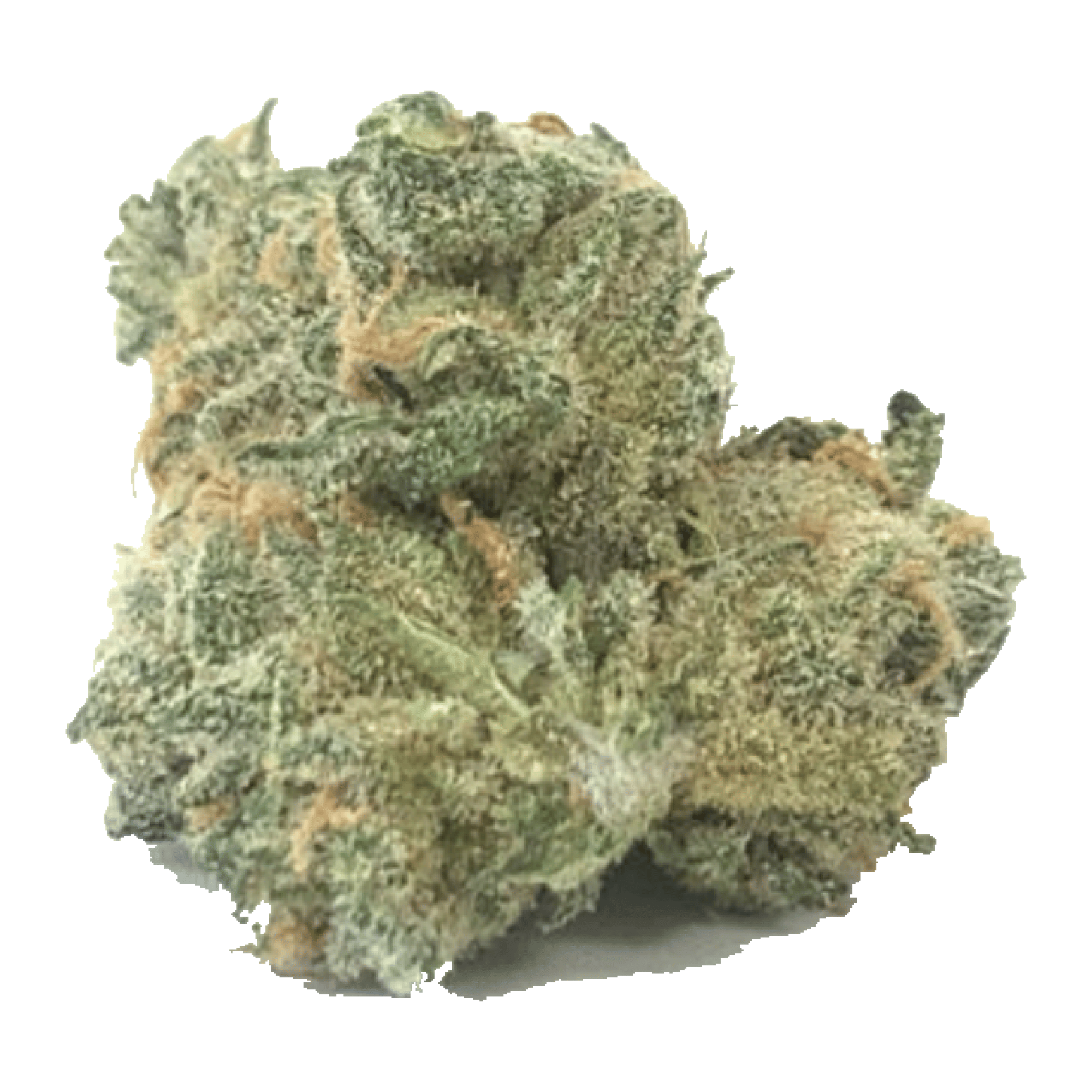 Crystal Haze - Indoor Flower - ZombiXYZ - Eighth - $17.50 - 4mo+ Flower (Date in Description)