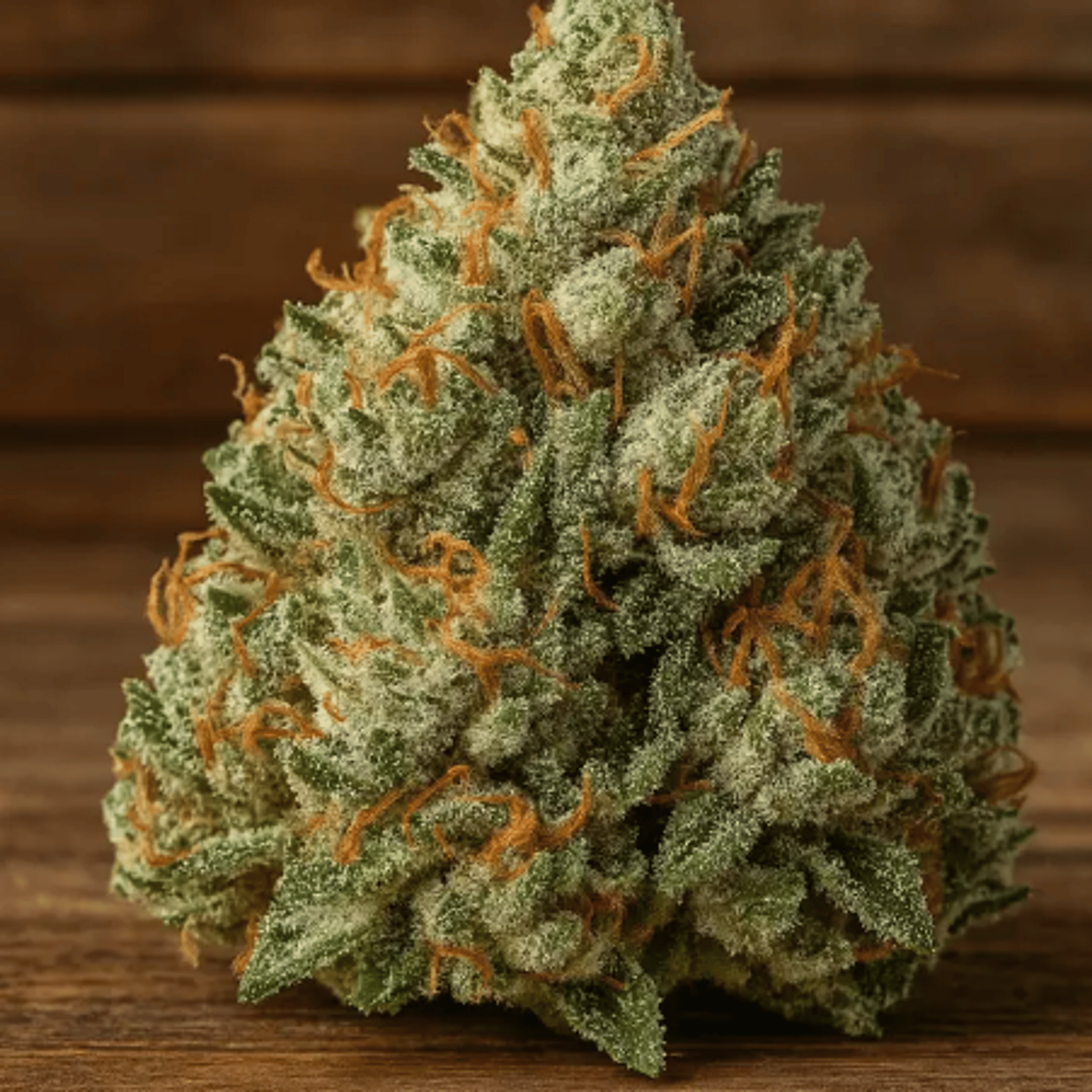 ALPACA CLUB - Super Silver Haze (S) - Mixed Light - Alpaca Bowl 4 U - 14g Bag - $69 - Flower