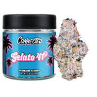 Gelato 41 | 10g
