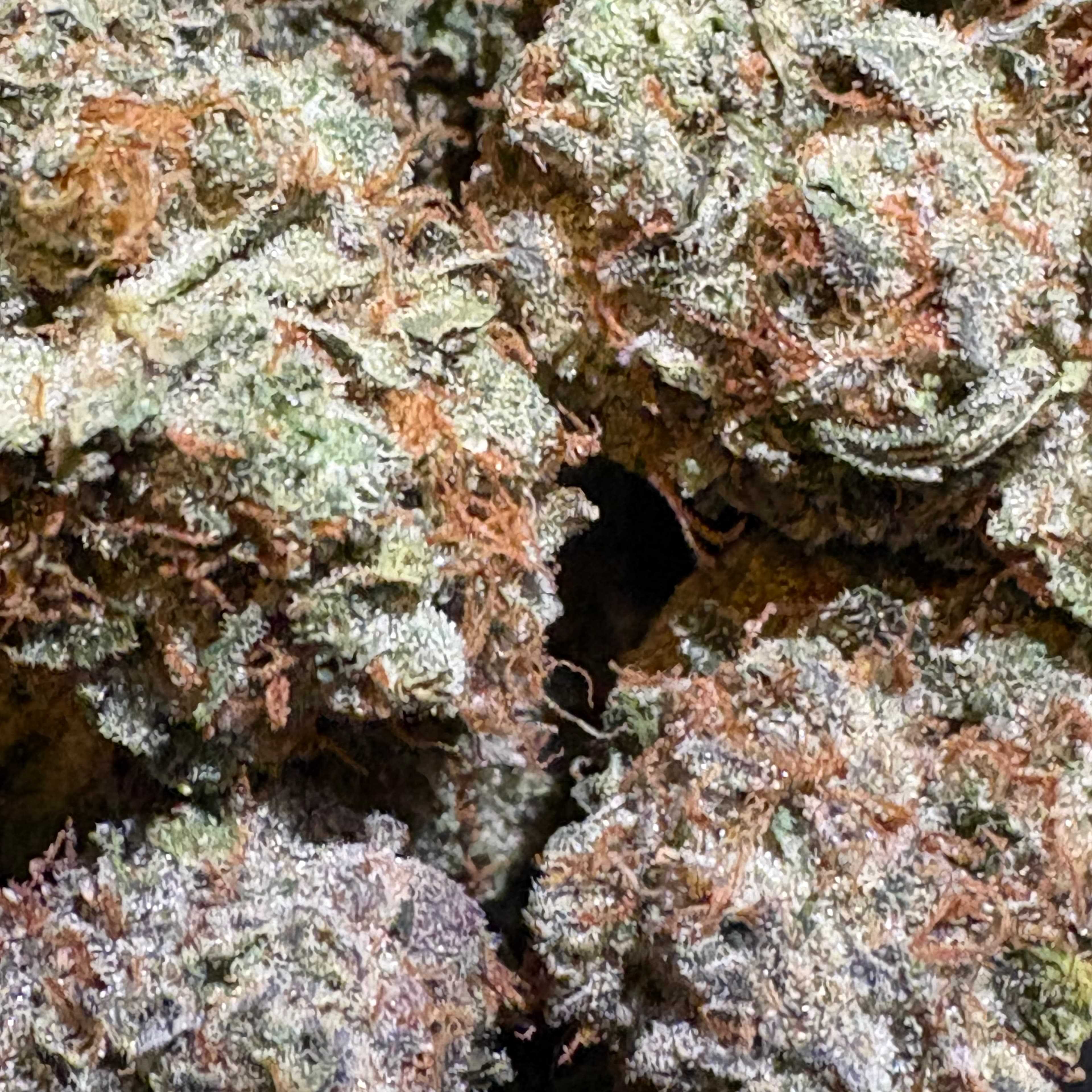 $20 Eye Candy 8th 34% THC (Top Shelf Indoor) - Cookies - - $20 - Flowers