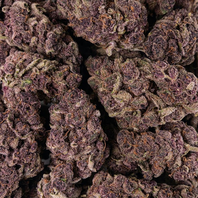 Purple Tangie | 1g Flower