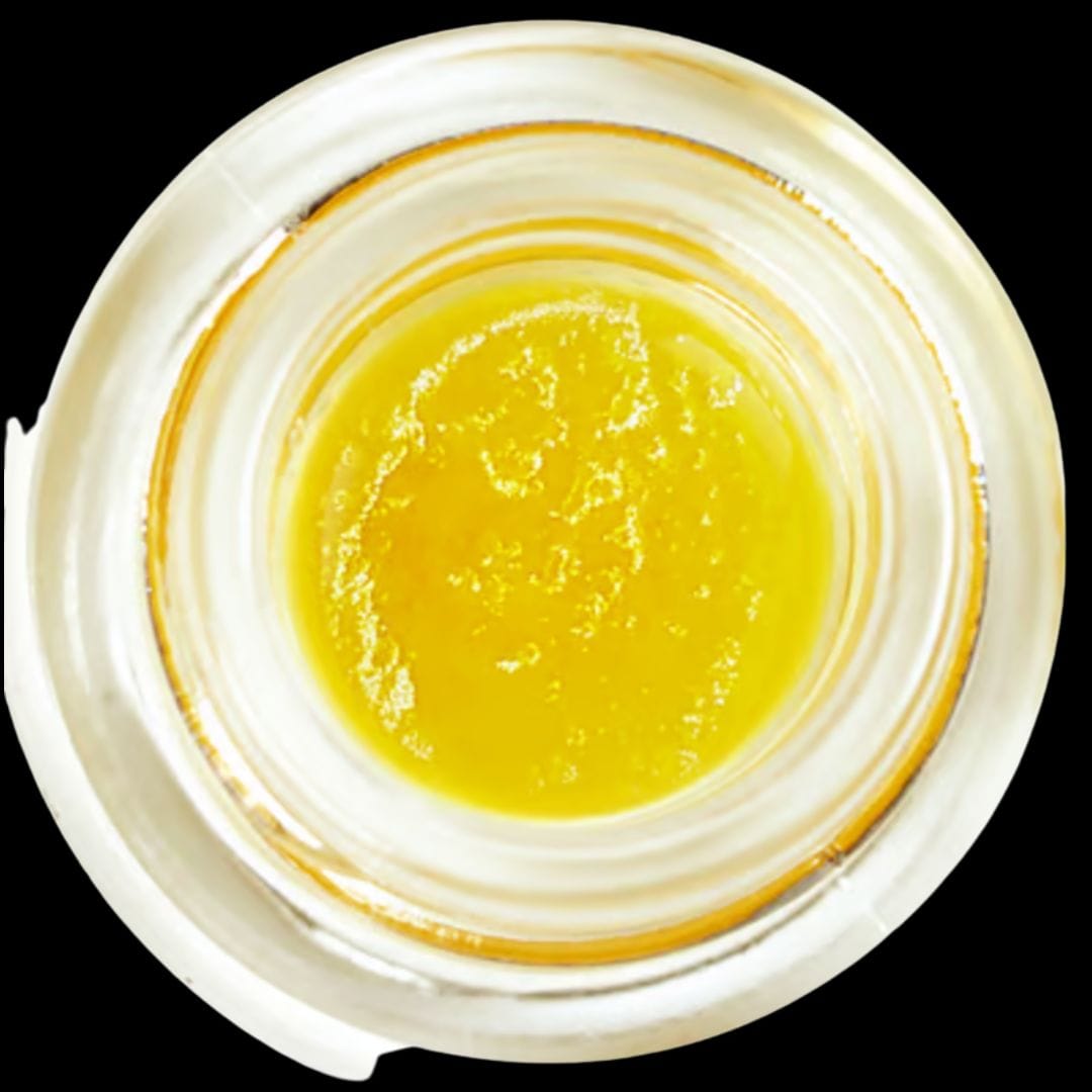 Himalaya: Cheetah Piss