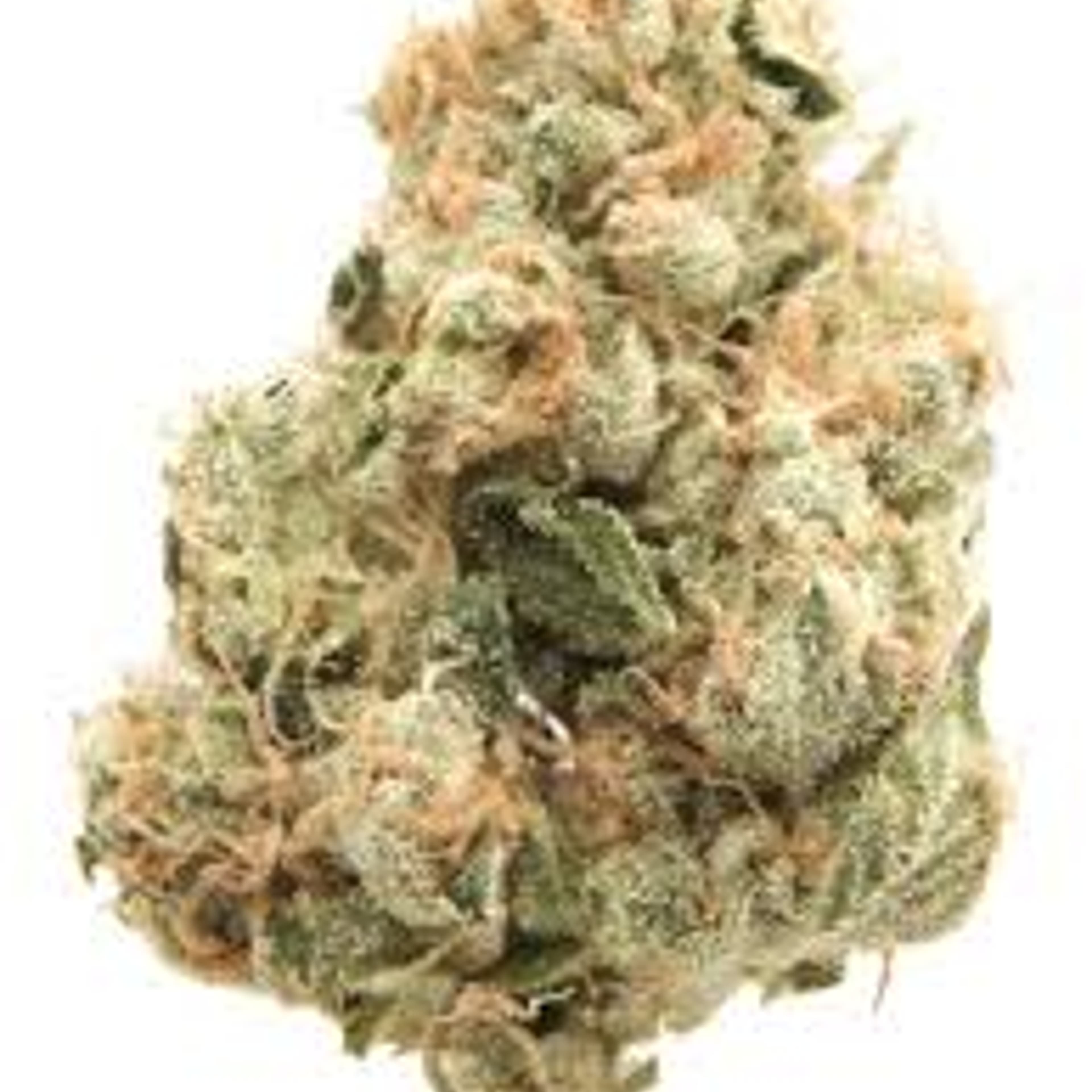 South Bay Diesel 3.5g - De La Mota - - $24.99 - Flower