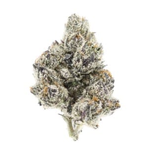 UpNorth - White Zaza  - 3.5g - UpNorth -  - $43.99 - Indoor Flowers