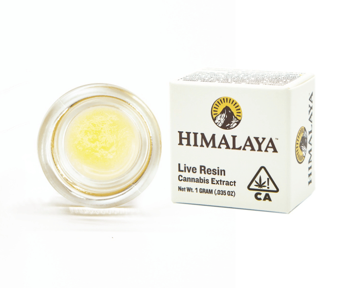 Shake Shack Terp Sugar 1G - Himalaya -  - $18 - Concentrate