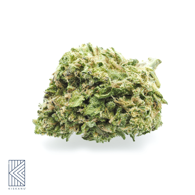 Kiskanu: Peanut Butter Breath Select