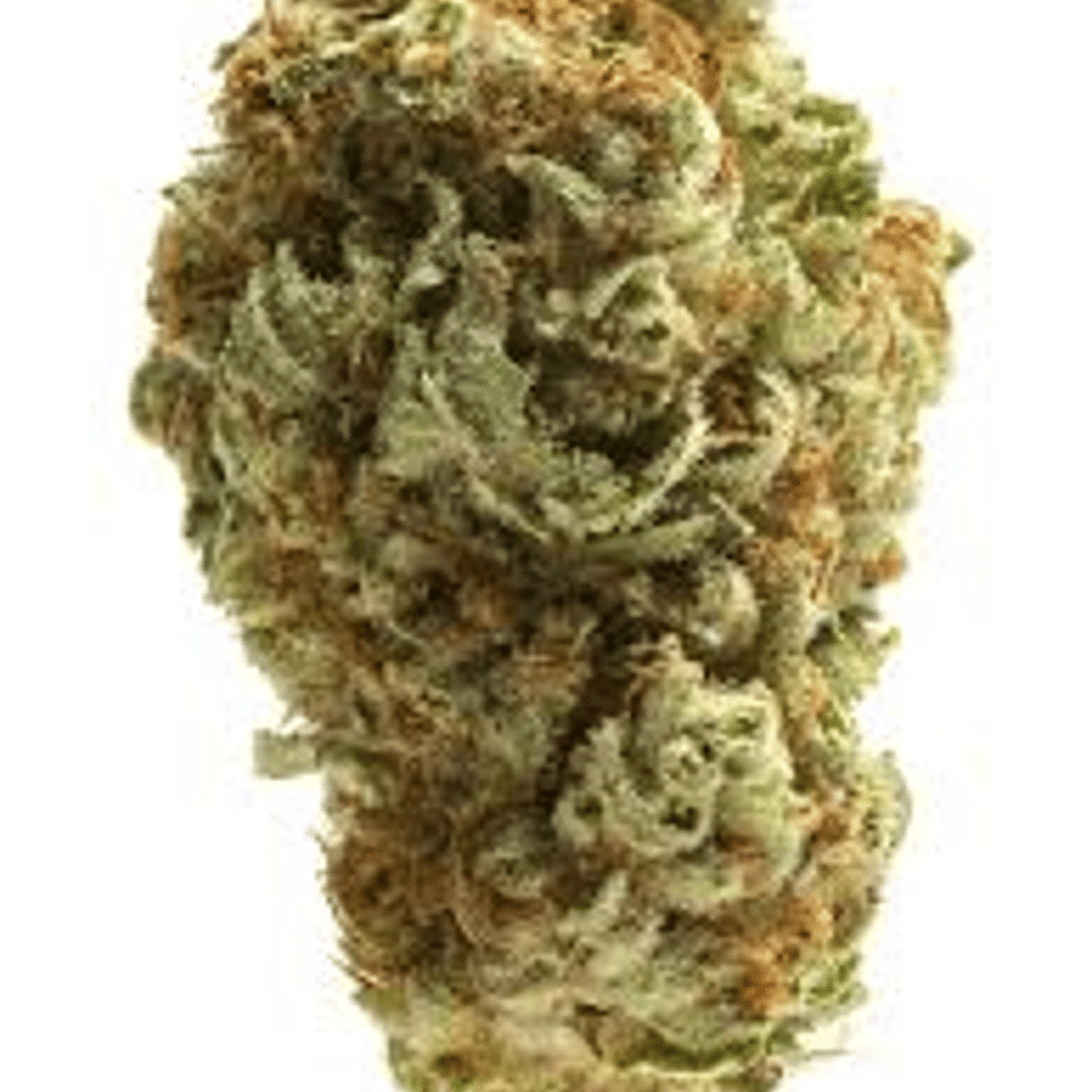 ALPACA CLUB - Tropical Gelato (H) - Mixed Light - Alpaca Bowl 4 U - 14g Bag - $69 - Flower