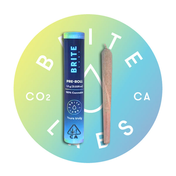 Brite Labs - Pre-roll - Sour Tangie