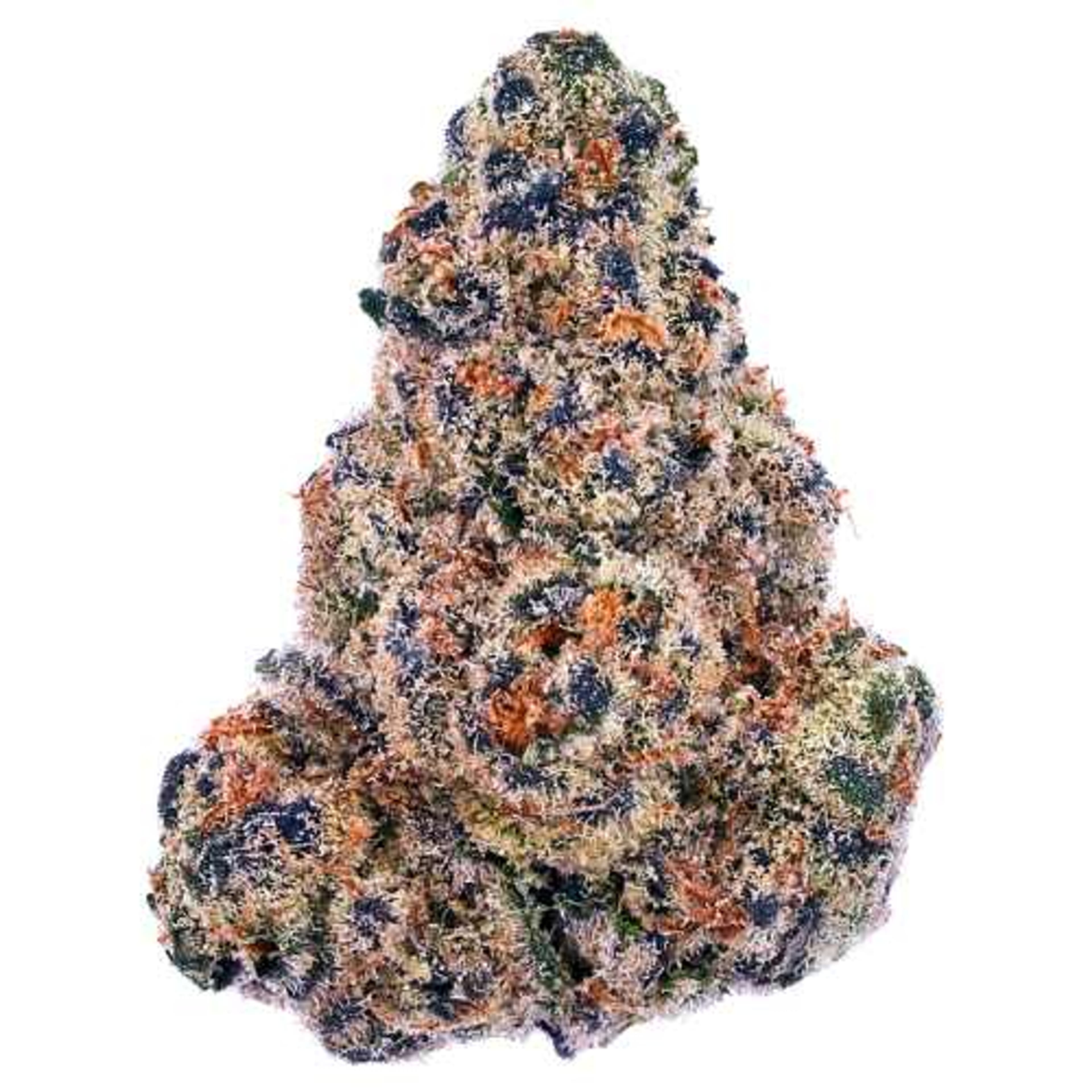 Gushers - Daze Off - Eighth - $35 - Flowers