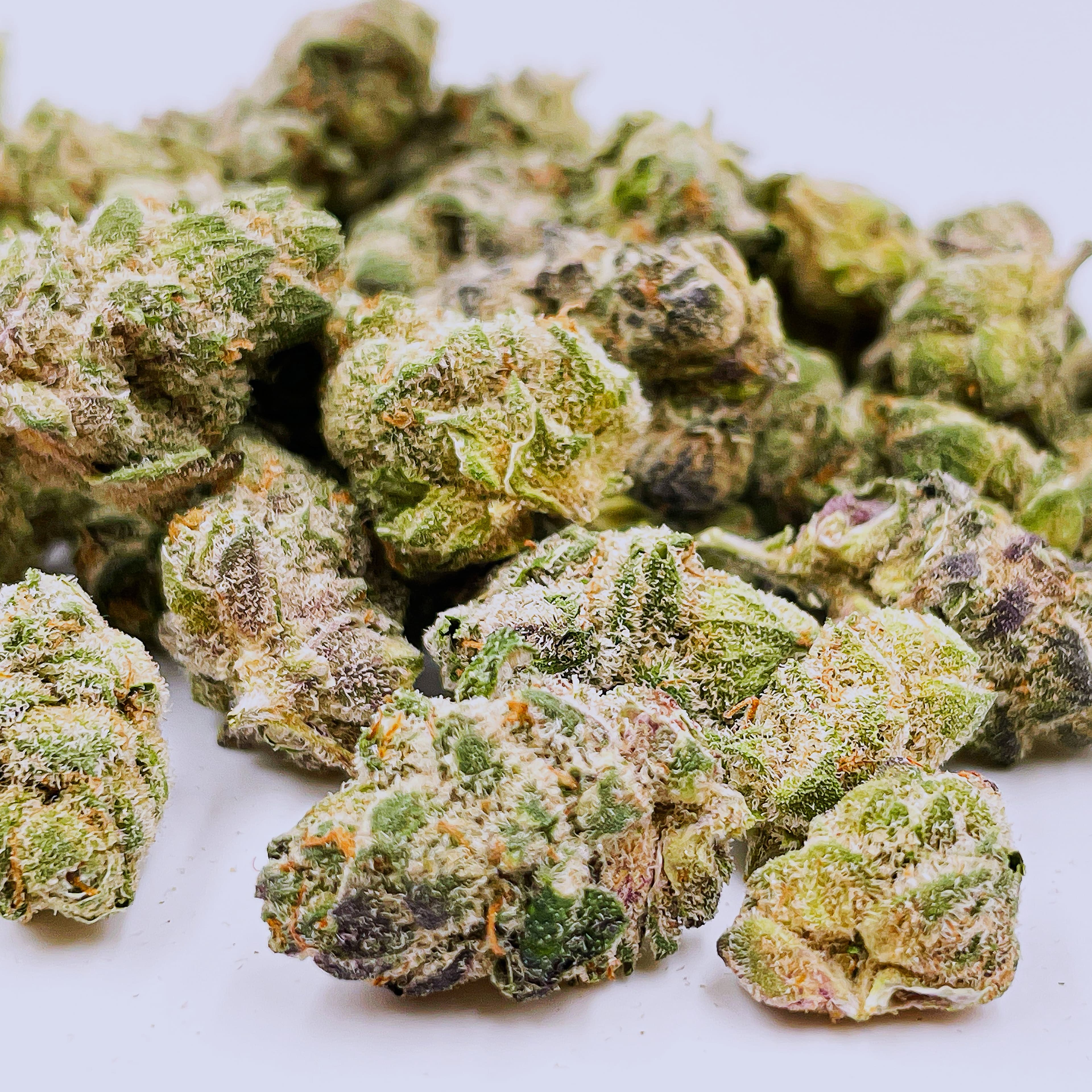 ALPACA CLUB - Sherbert Cream Pie (I/H) - 28g Indoor Smalls - Alpaca Bowl 4 U - Bag - $124 - Flower