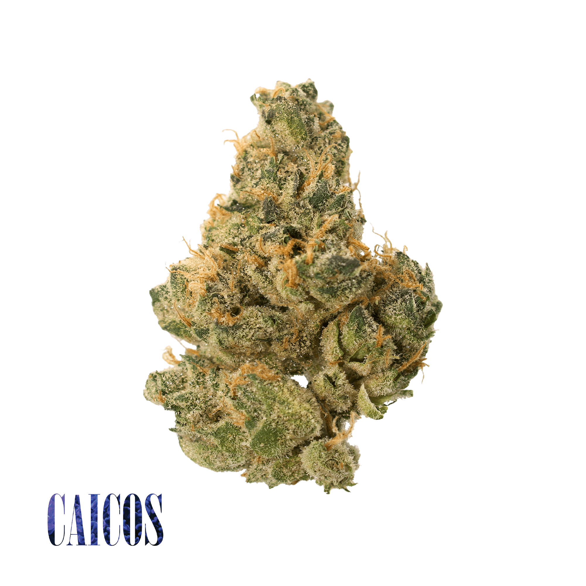 Caicos 36.63% - Premium Exotic Indoor 5G - Traditional - Caicos (S) - $39.99 - Flower