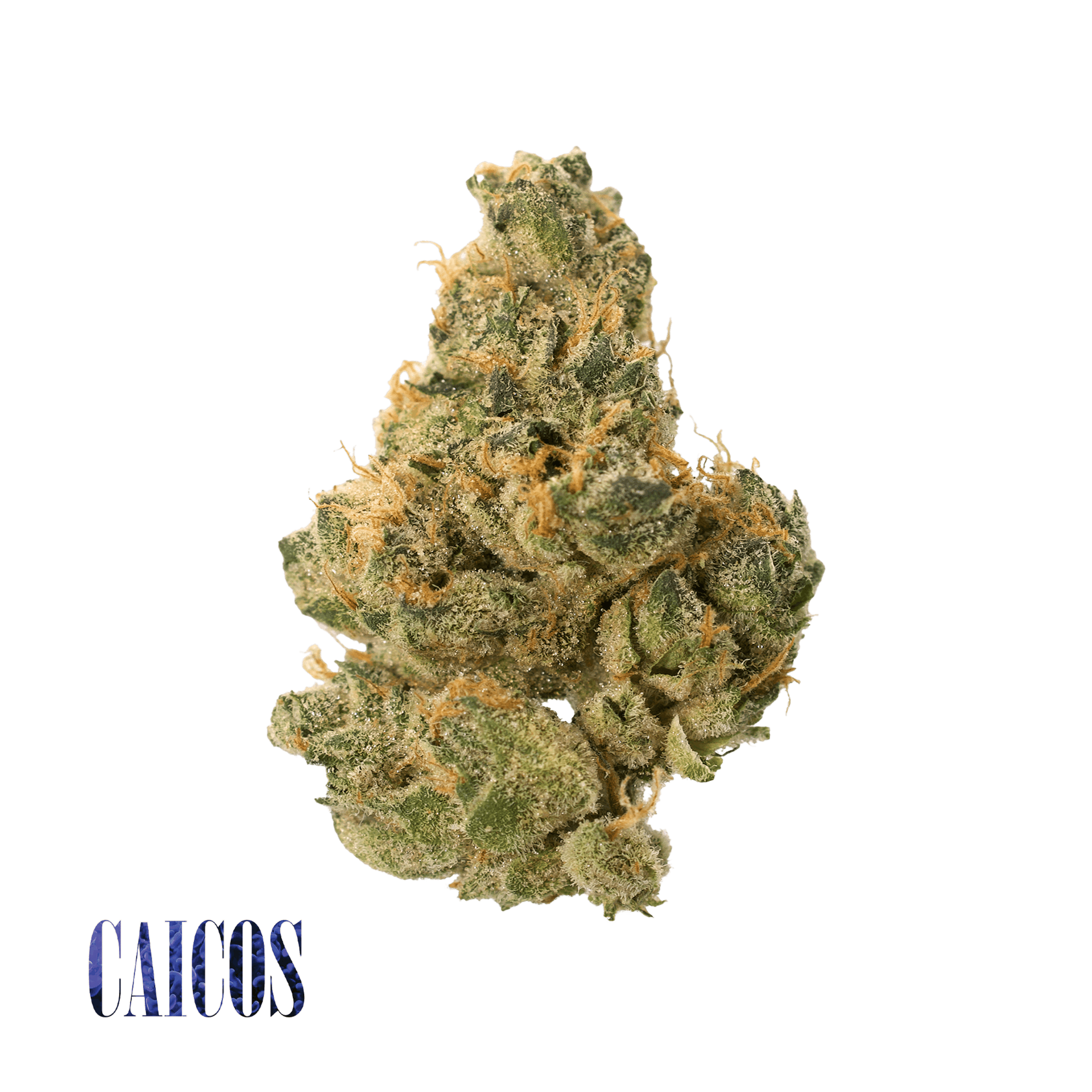 Caicos 36.63% - Premium Exotic Indoor 5G - Traditional - Caicos (S) - $39.99 - Flower