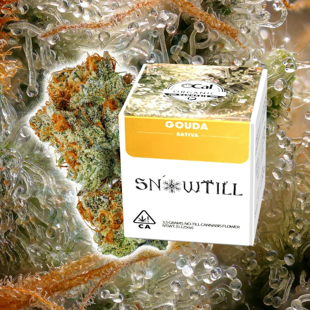 SNOWTILL - Gouda (S) - Top Shelf Indoor - Snowtill - Jar - $60 - Flower