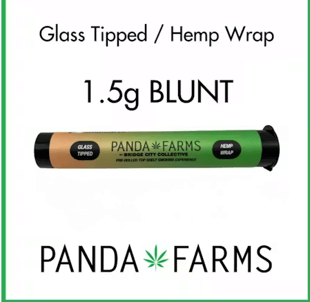 GMO Root Beer 1.5g pre roll