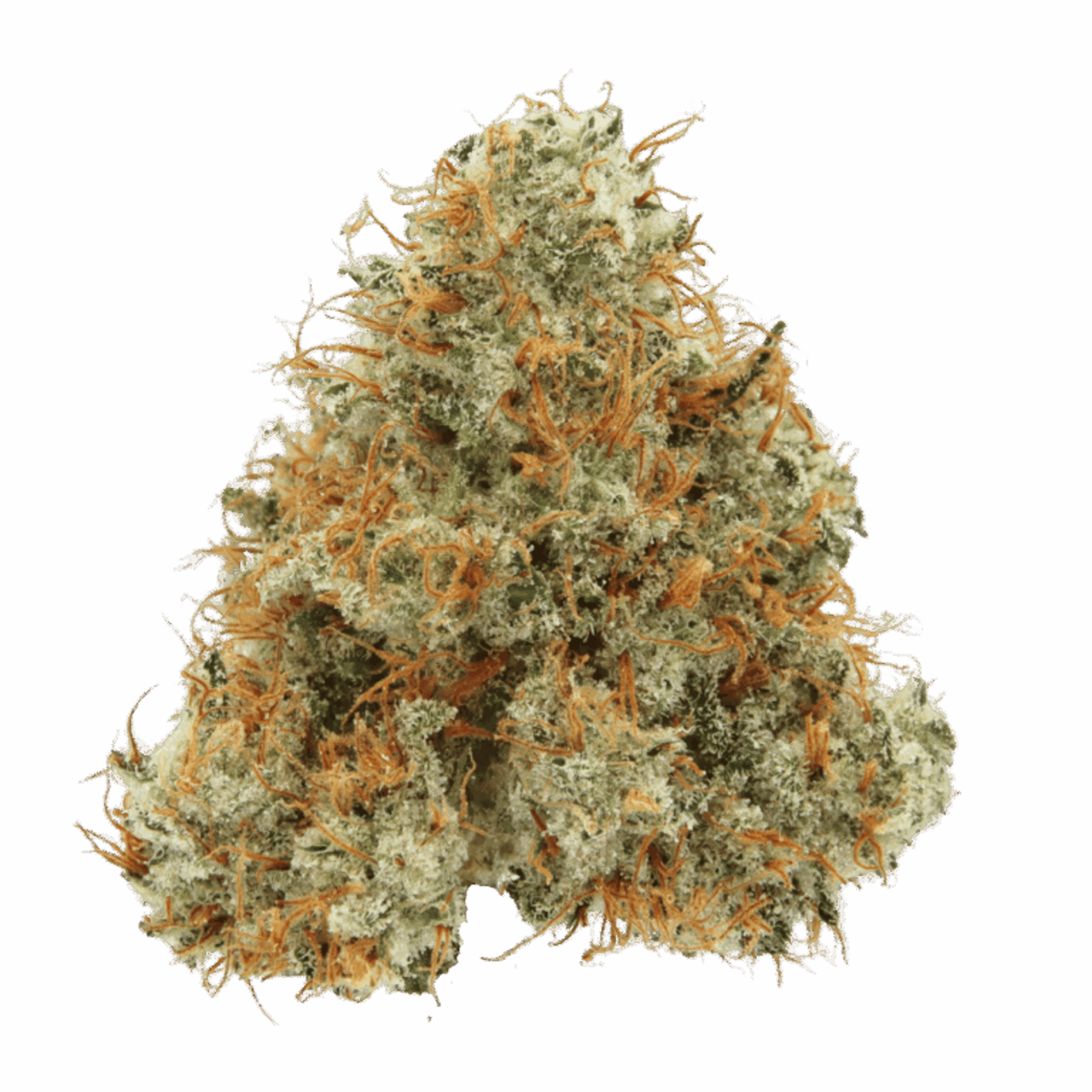 Northern Lights - Sense - Eighth - $50 - Flowers