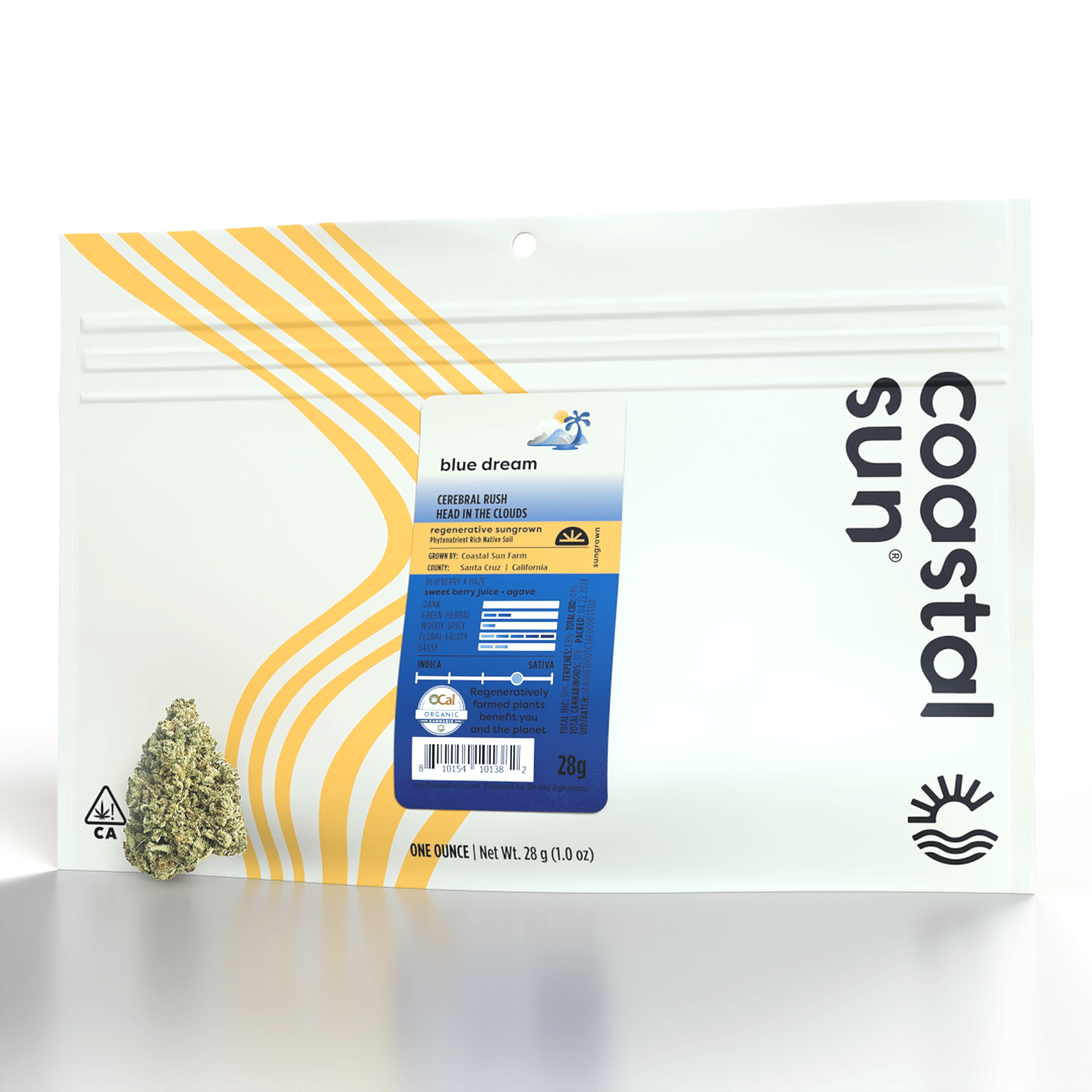 28G Blue Dream - Coastal Sun -  - $91 - Flowers