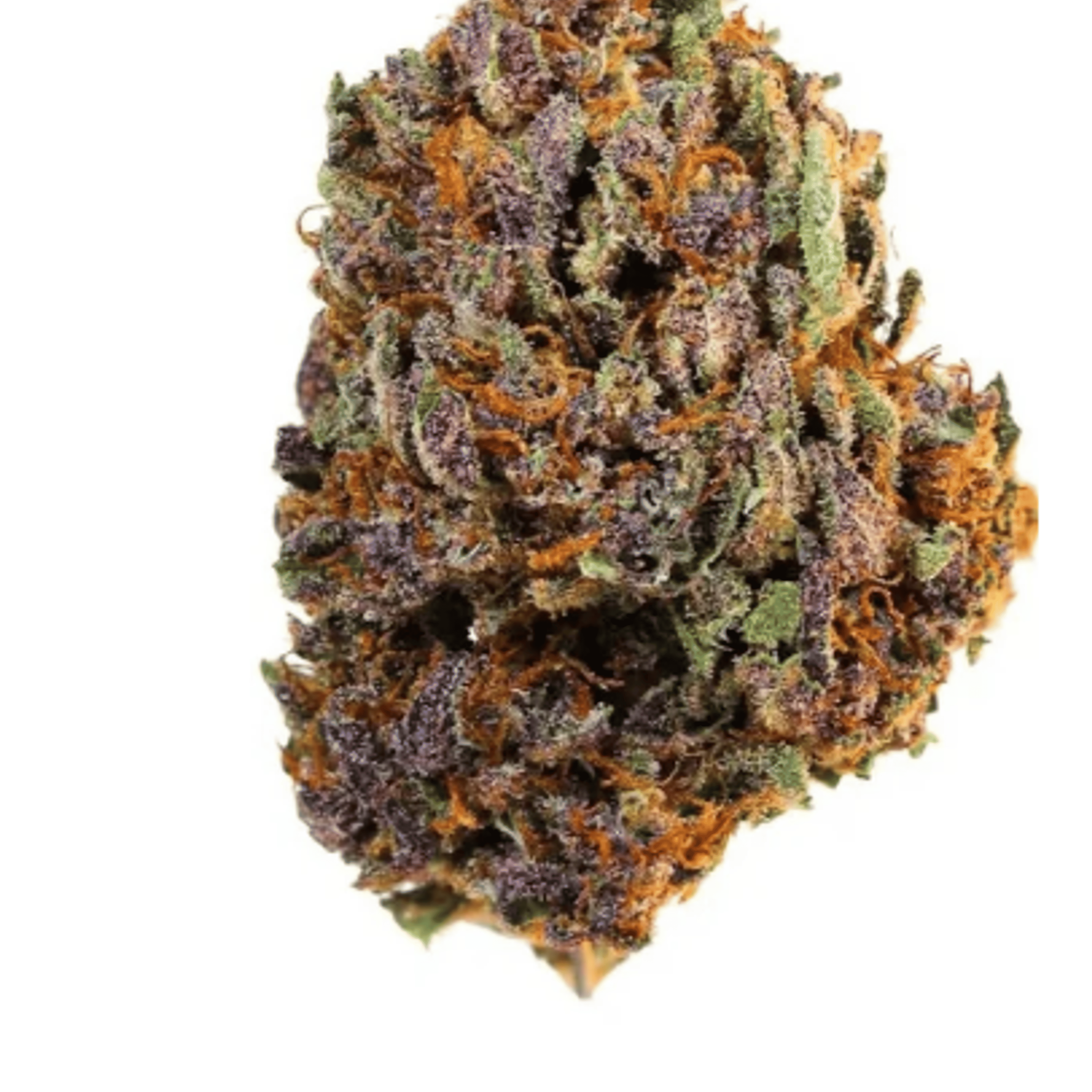 Magu's Fuel - Sun Roots Farm - eighth - $24 - Flowers
