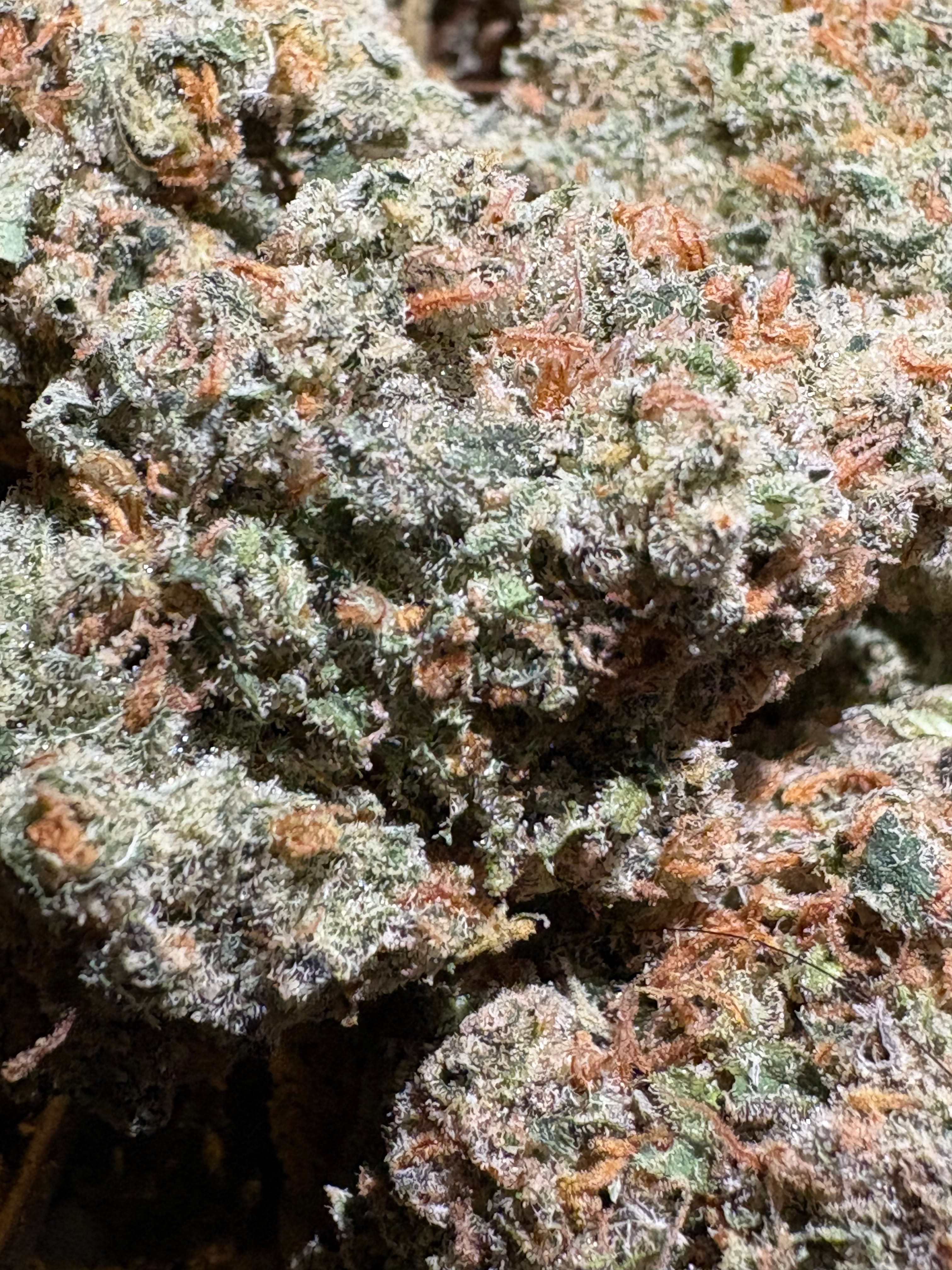 $20 Doggy Bag 34% THC (Top Shelf Indoor) - Cookies -  - $20 - Flowers