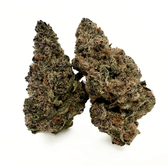 Deli Fresh Flower 1/2oz - Tropicana Cookies