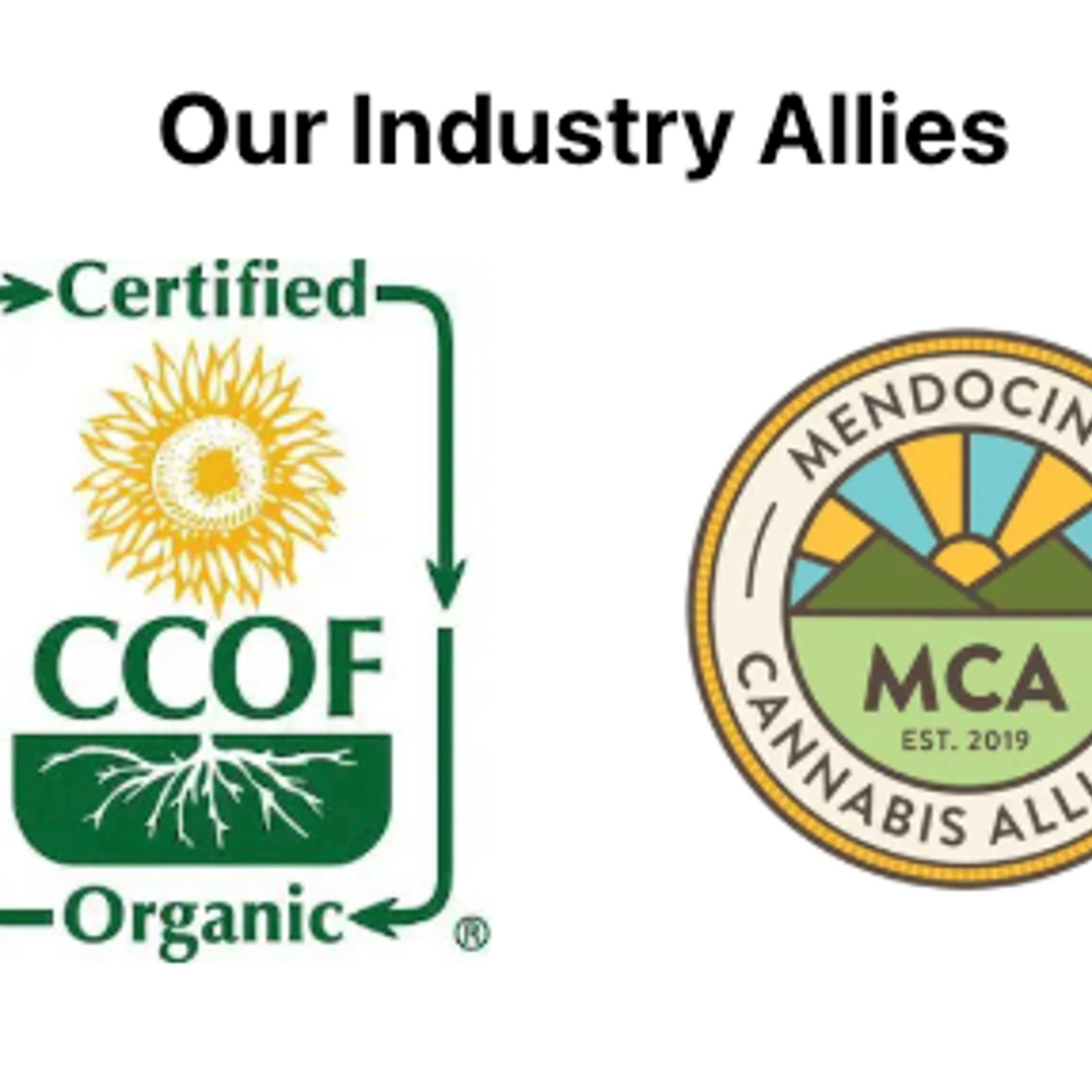 Train Wreck - Perrin Family Farm - eighth - $28 - Flowers