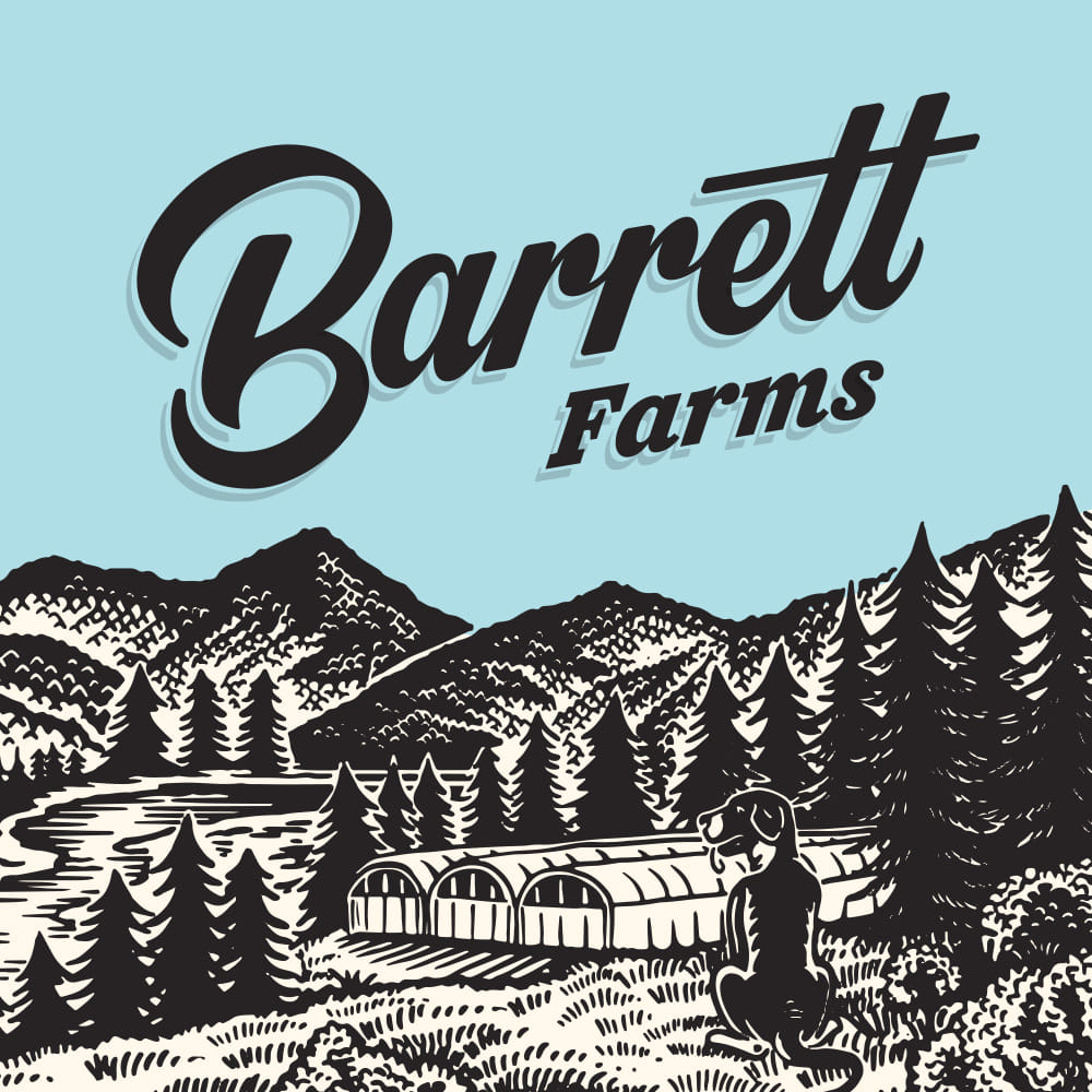 SKYNET - Live Rosin 1G - Barrett Farms - SKYNET Live Rosin (S) - $48 - Concentrates