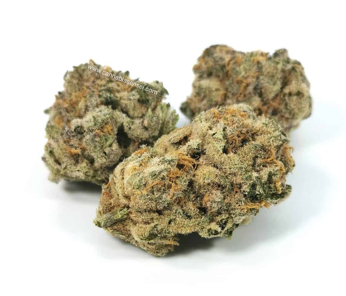 *Limited Edition* Platinum Cake - Gramlin - Eighth - $25 - Flowers