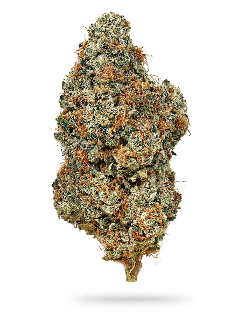 ALPACA CLUB - Chocolate Thai Dye (S) - 3.5g Indoor - Alpaca Bowl 4 U - Bag - $35 - Flower