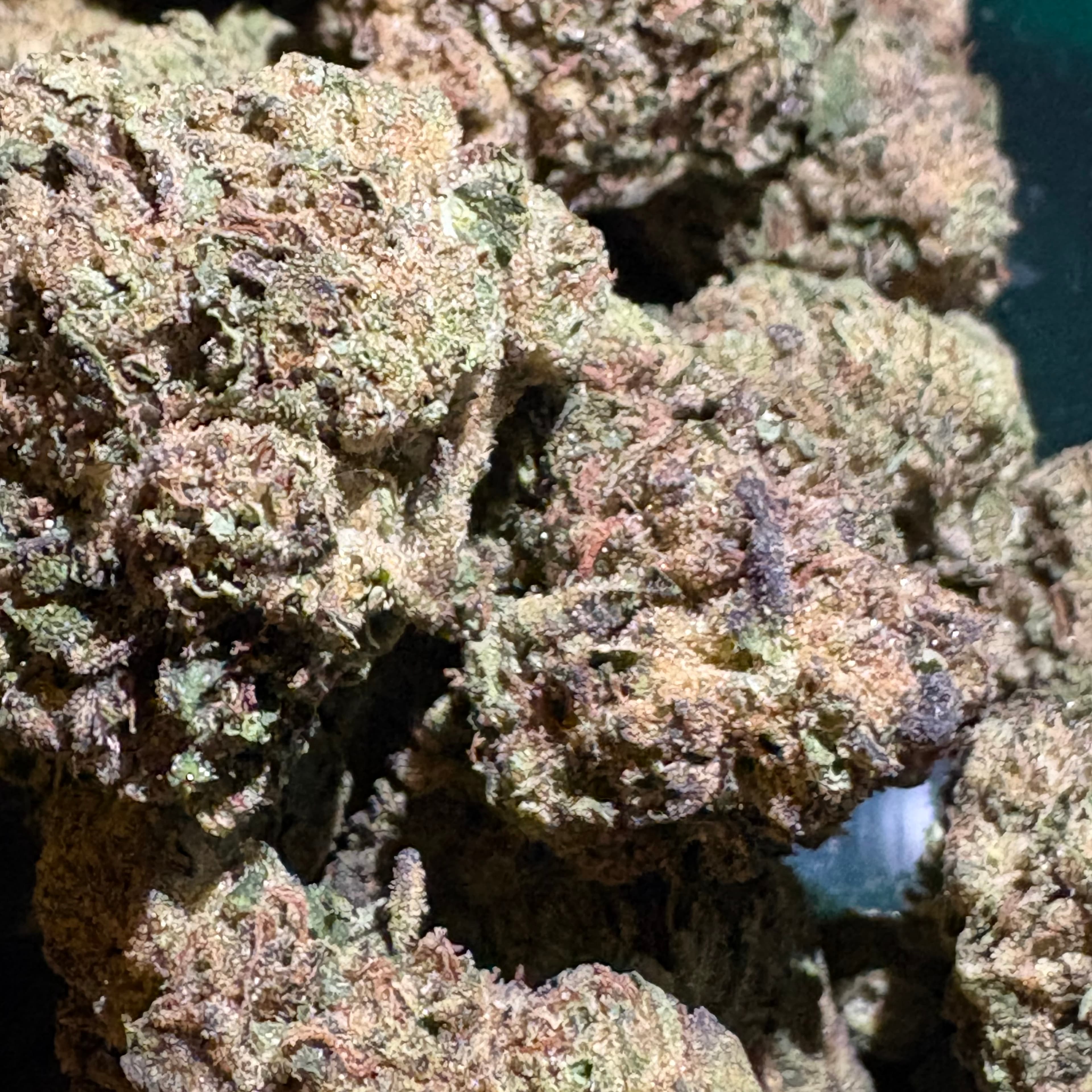 $35 Cookies n Cream 14g 33% THC (AAA-Grade) - Sum Good - - $35 - Flowers