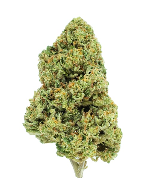 Mountain Mint | 7g Flower