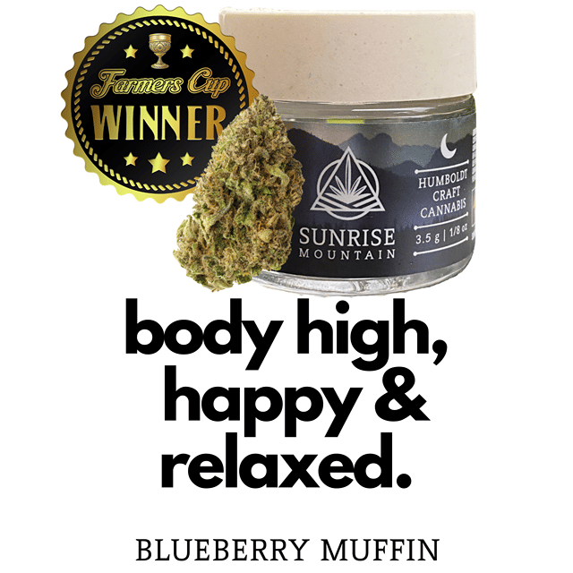 Blueberry Muffins 3.5g