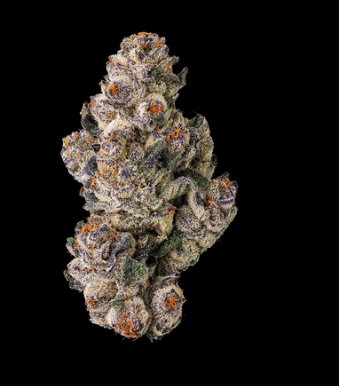 Black Lotus - Maven Genetics - Eighth - $36 - Flower