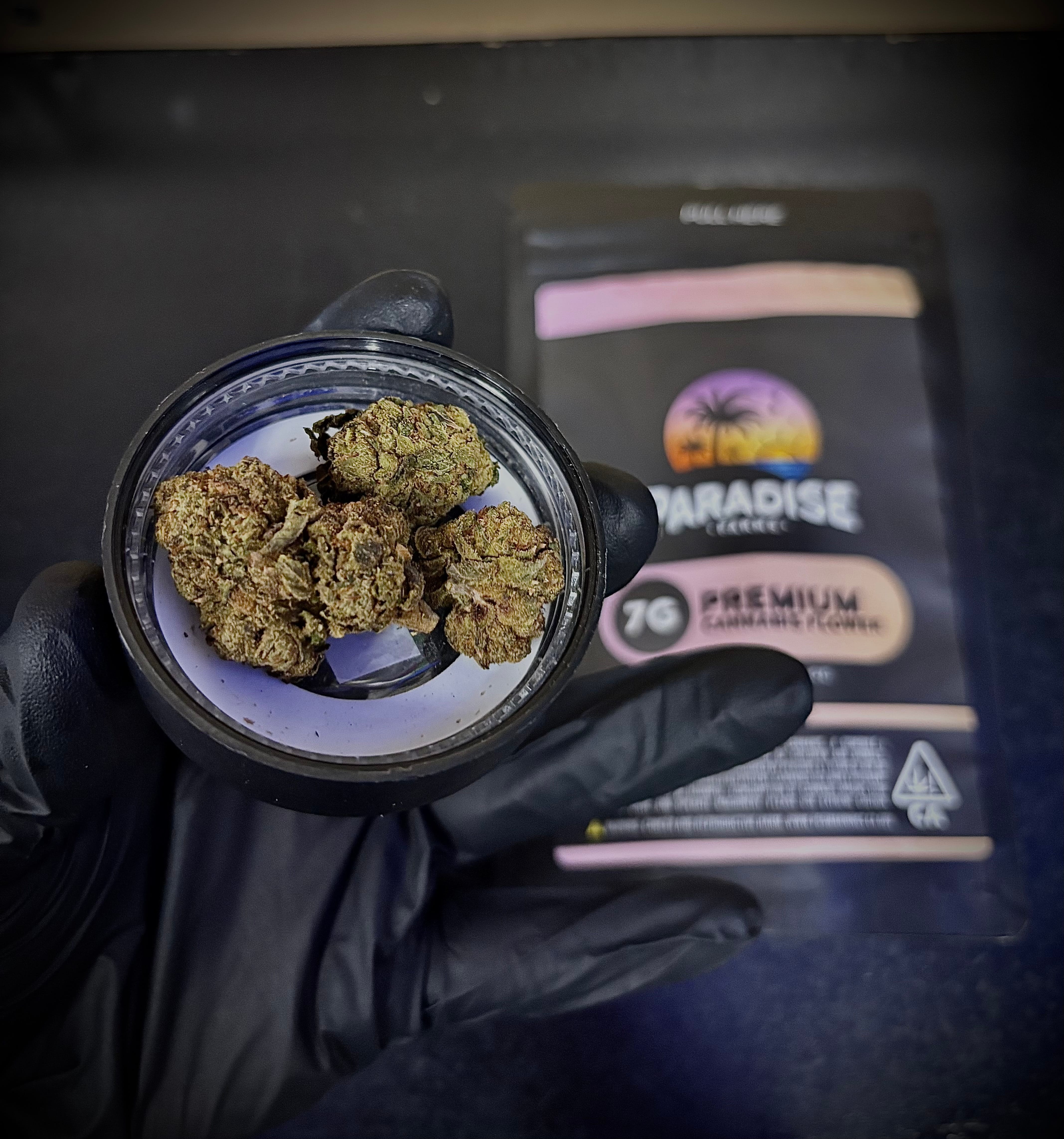 Ice Cream Cake 14g - Paradise Farms - Half Ounce - $20 - Flowers