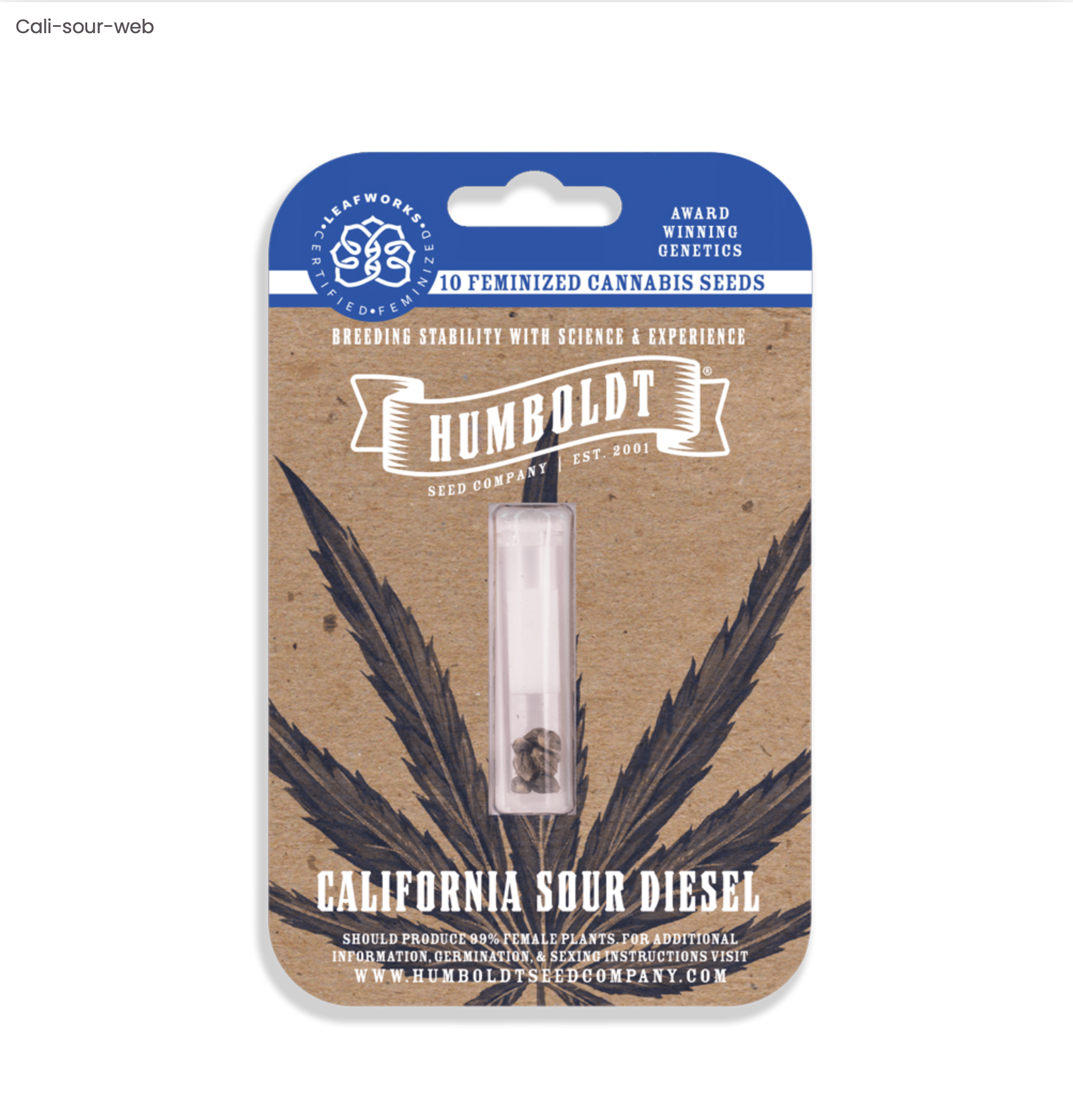 California Sour Diesel - 10pk Feminized Seeds - Humboldt Seed Company - Fem Seed - Sativa Dom - $100 - Seeds