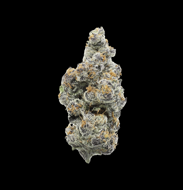 CHERRY PIE 1/8 | UPNORTH
